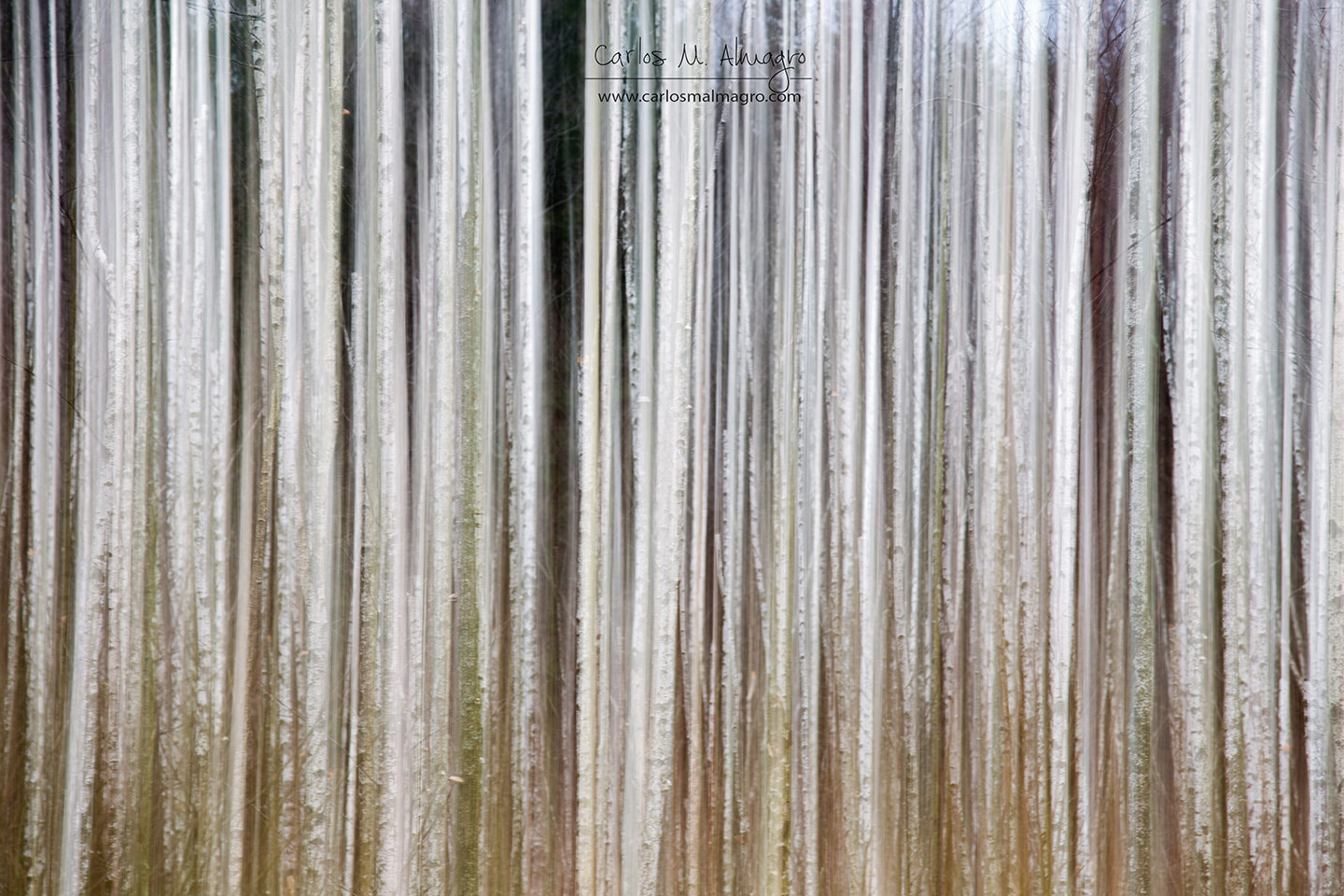 Canon EOS 6D + Canon EF 70-200mm F4L IS USM sample photo. Natural blur (ii) photography