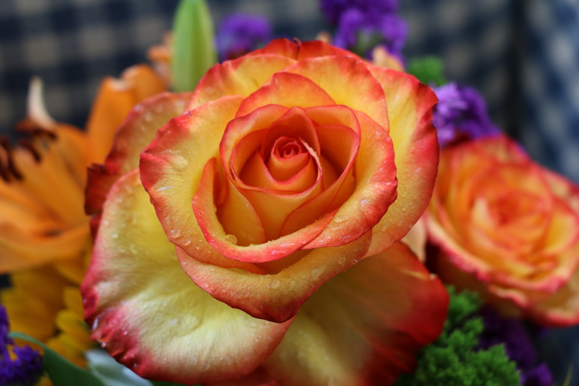Canon EOS 760D (EOS Rebel T6s / EOS 8000D) sample photo. Img photography