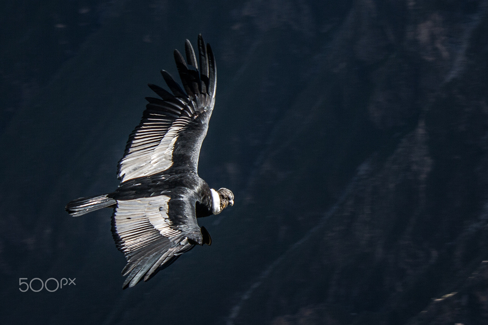 Canon EF-S 18-55mm F3.5-5.6 IS sample photo. El condor pasa photography