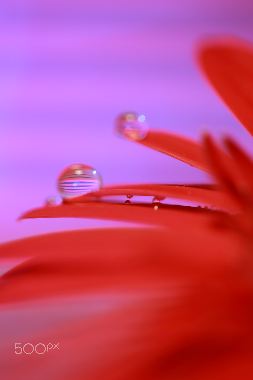 Canon EF 100mm F2.8 Macro USM sample photo. Horizontal stripes photography