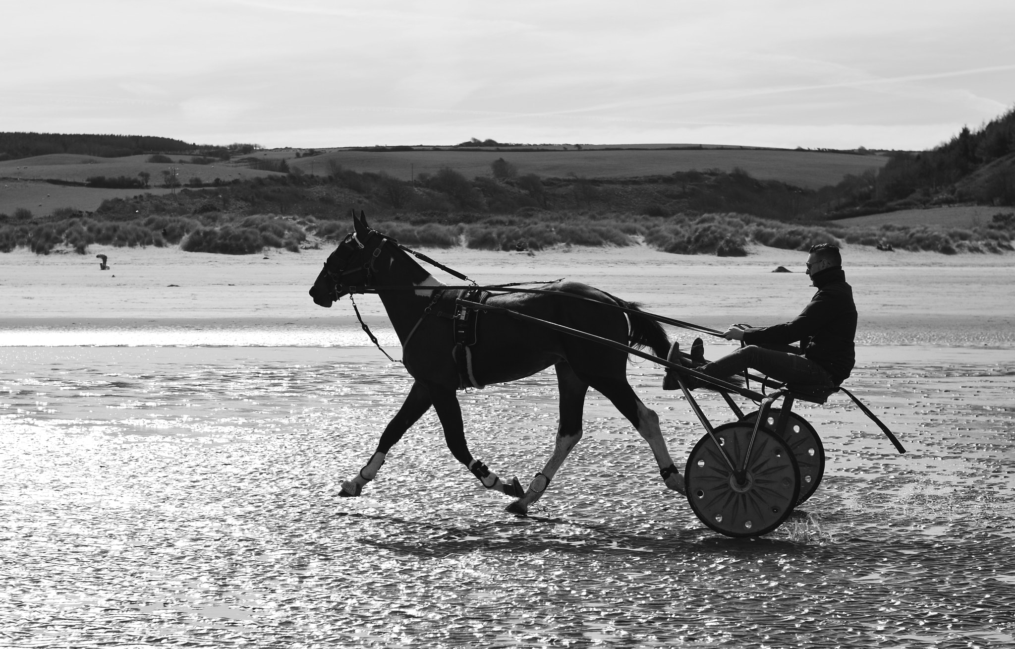 Nikon D3200 sample photo. Welsh trotting pony photography