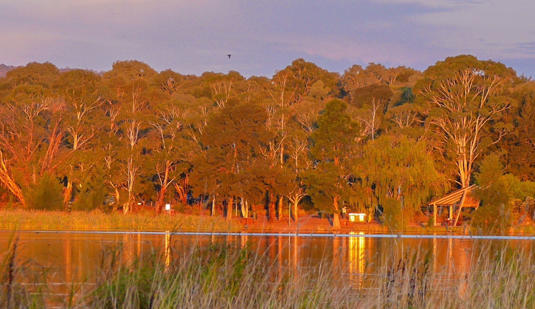 Panasonic DMC-GM1S sample photo. Natures painting - canberra, australia photography