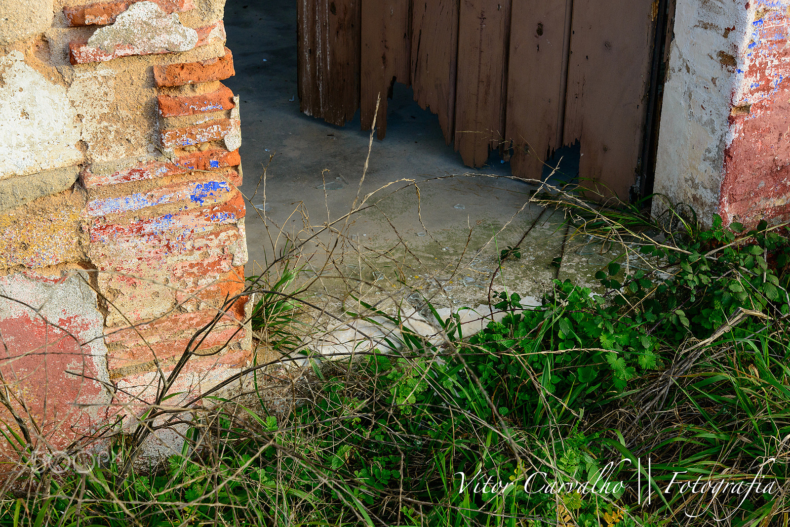 Nikon D800 sample photo. Portal photography