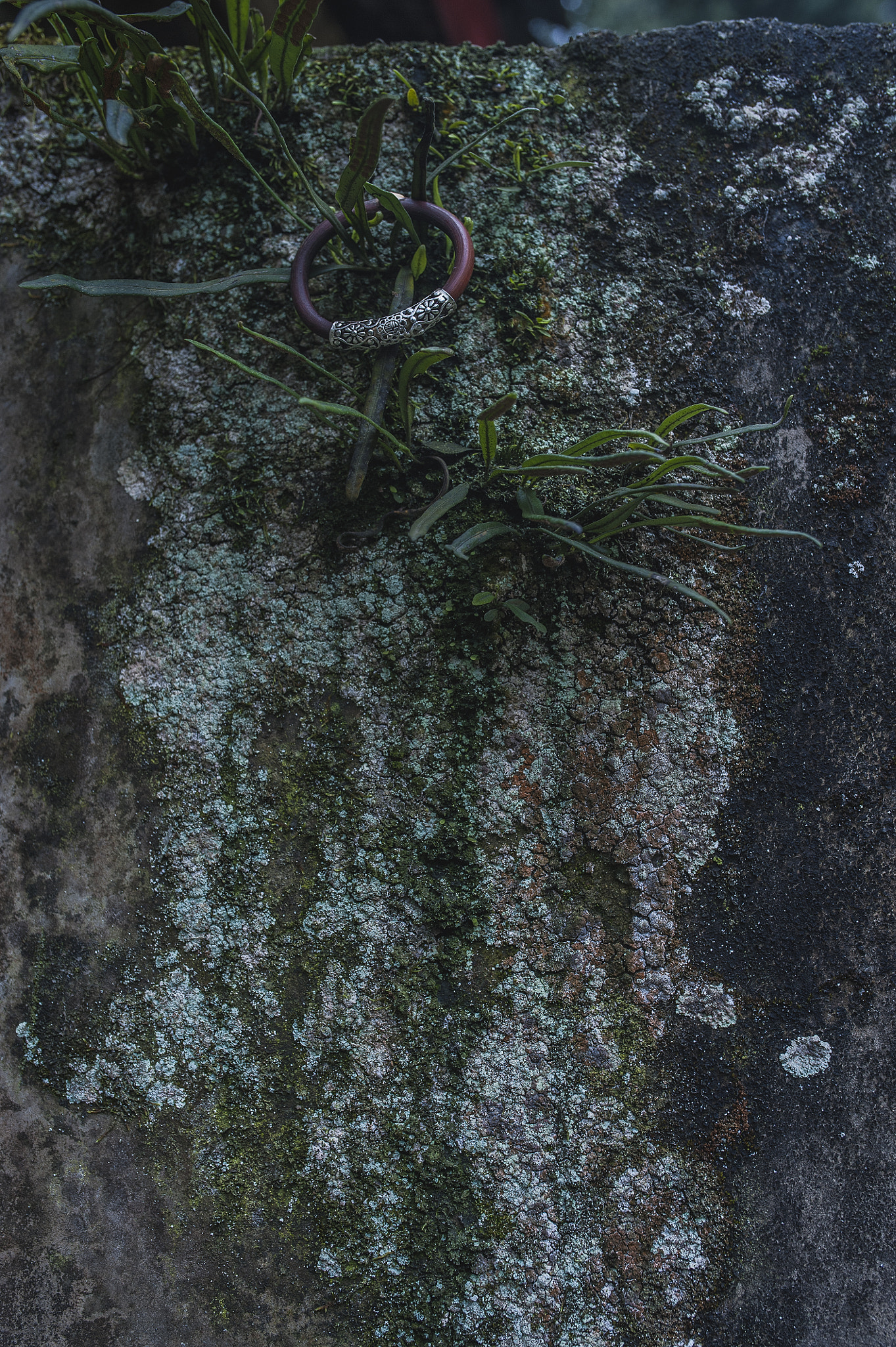 Nikon D700 + Sigma 35mm F1.4 DG HSM Art sample photo. Untitled photography