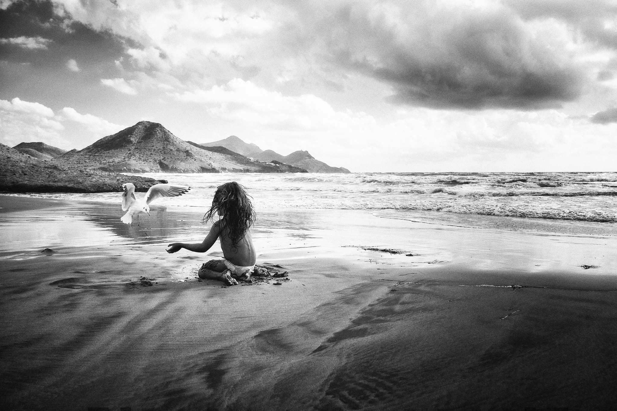 Fujifilm X-T1 + Fujifilm XF 16-55mm F2.8 R LM WR sample photo. The seagull photography
