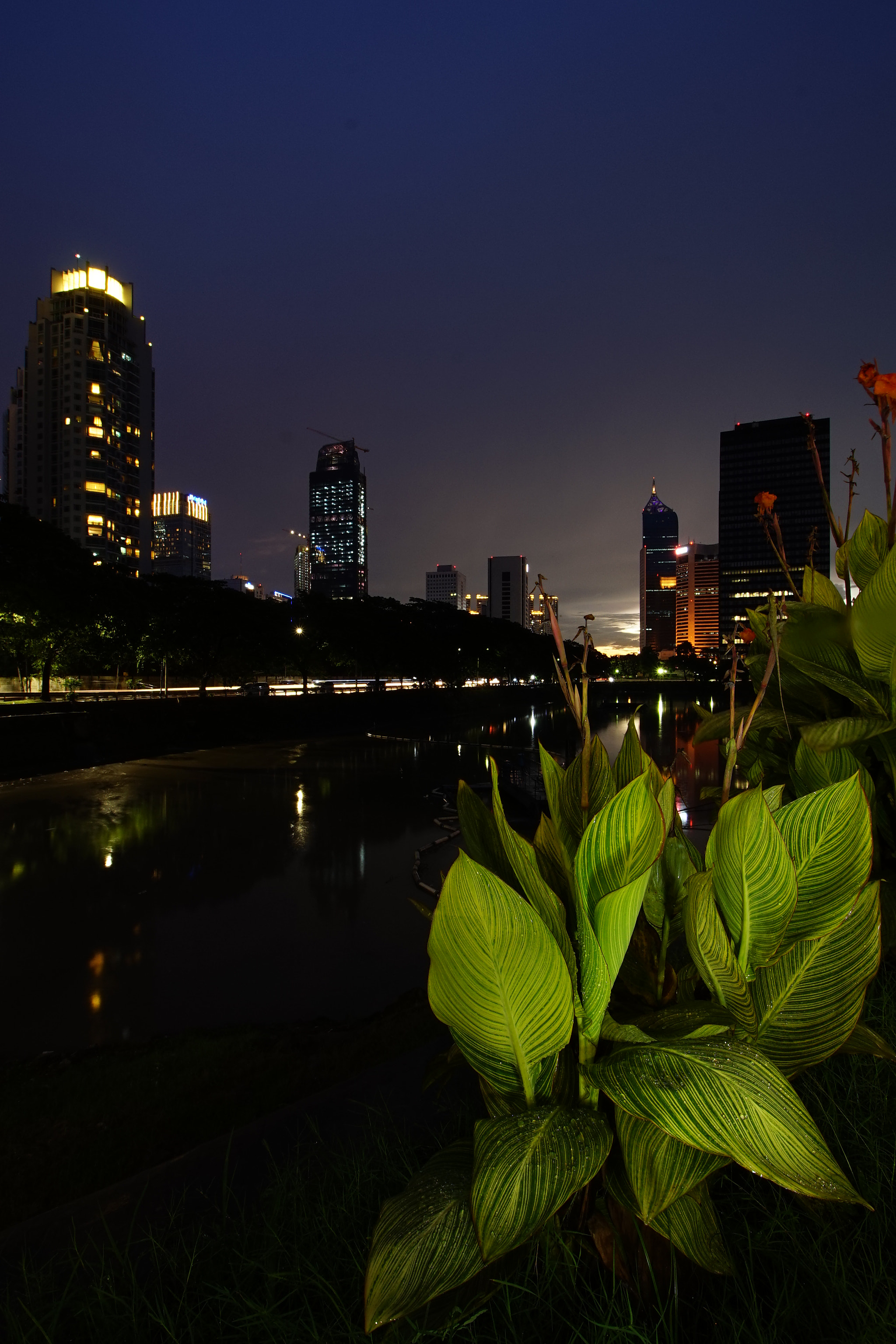 Canon EF-S 55-250mm F4-5.6 IS II sample photo
