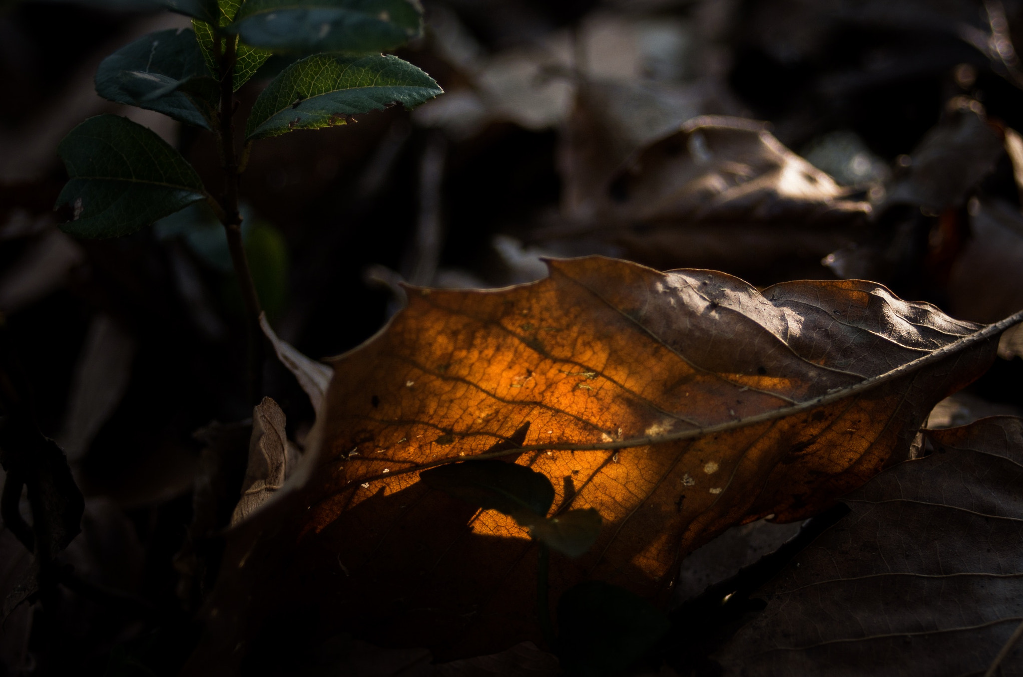 Pentax K-5 II + Sigma AF 10-20mm F4-5.6 EX DC sample photo. Untitled photography