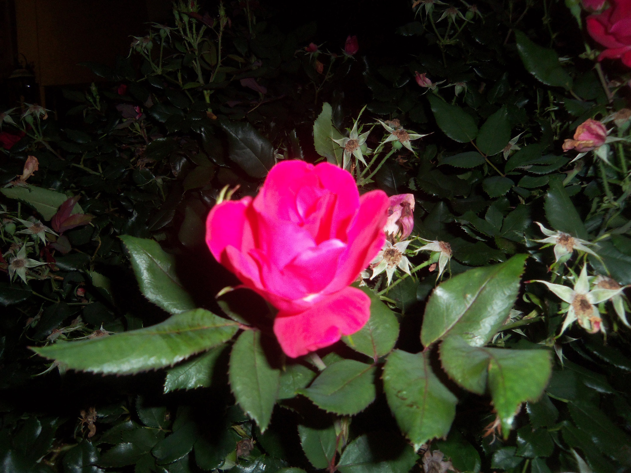 Kodak EASYSHARE TOUCH CAMERA, M577 sample photo