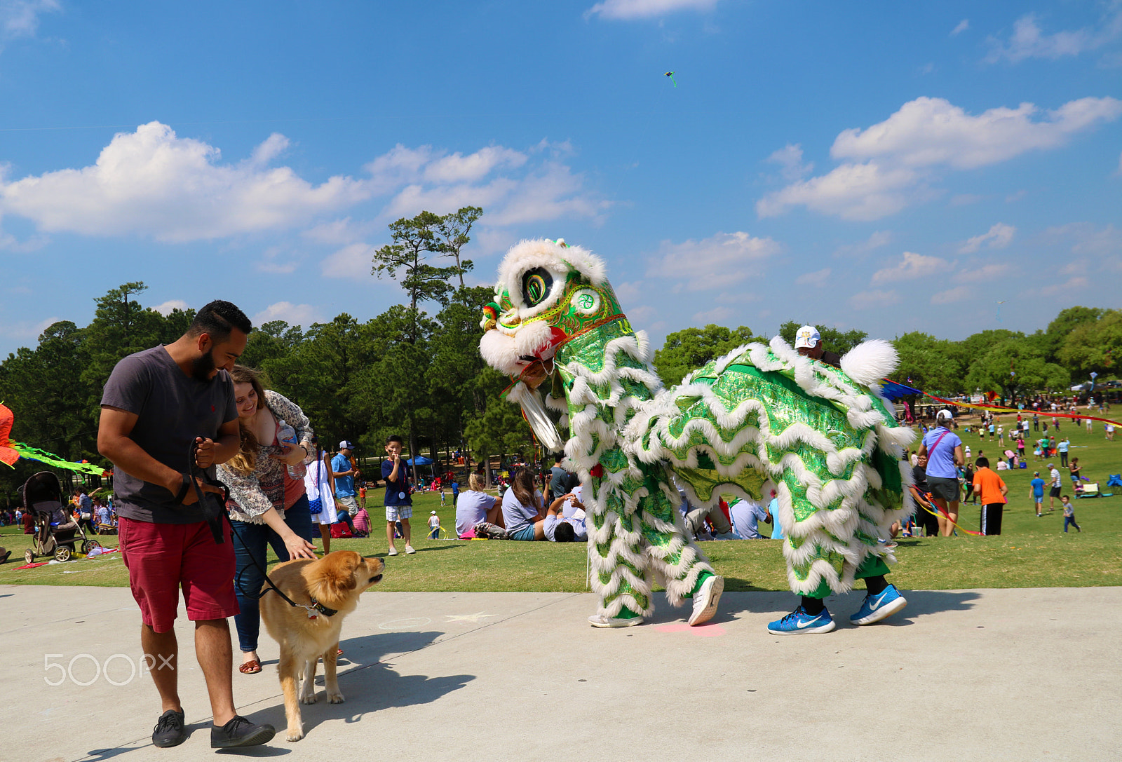 Canon EOS 750D (EOS Rebel T6i / EOS Kiss X8i) sample photo. Chinese dragon & dog 8139 photography