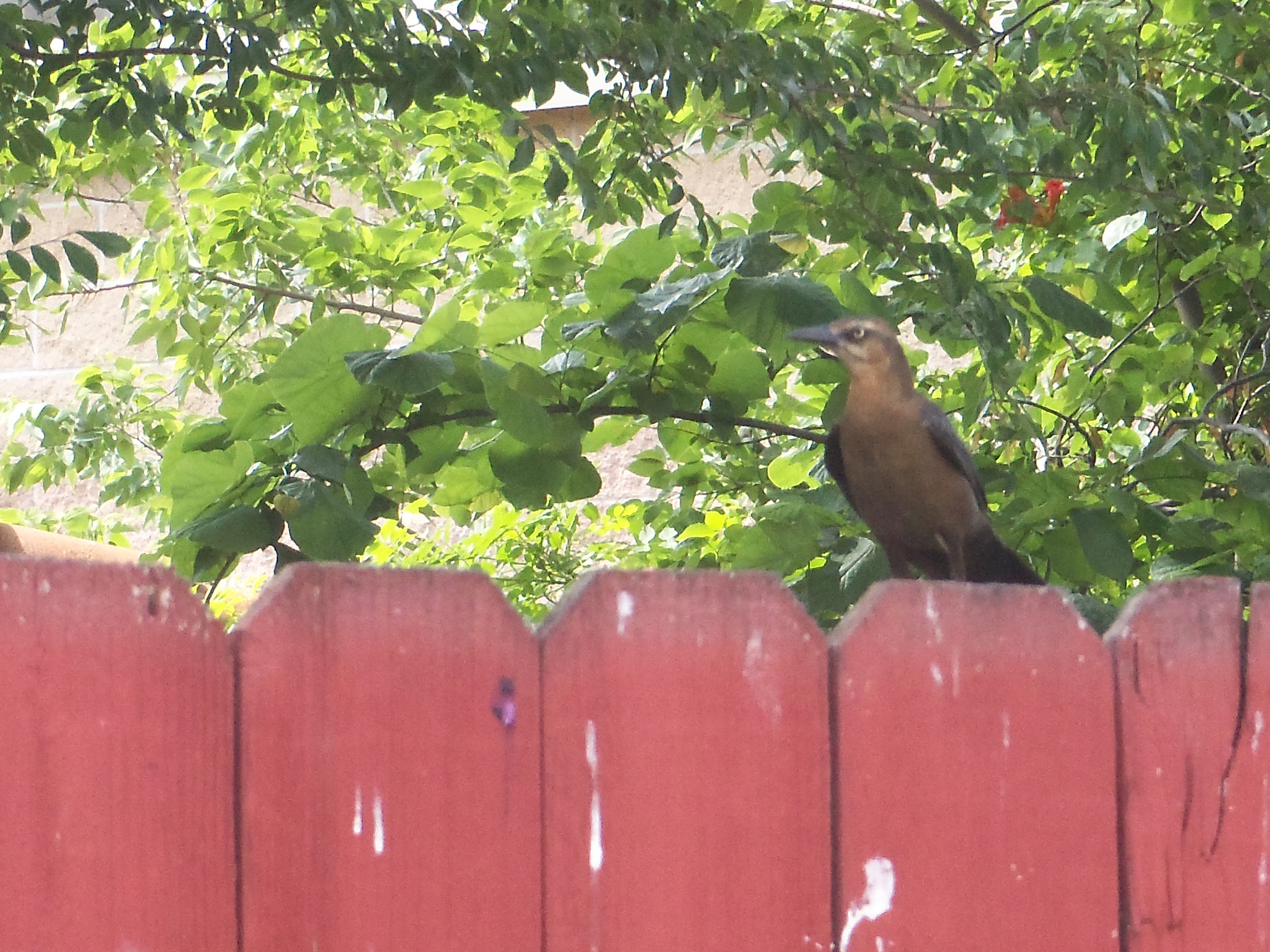 Kodak EASYSHARE TOUCH CAMERA, M577 sample photo
