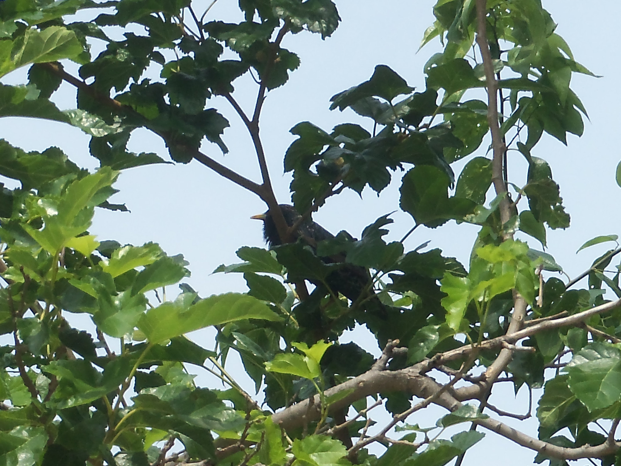 Kodak EASYSHARE TOUCH CAMERA, M577 sample photo