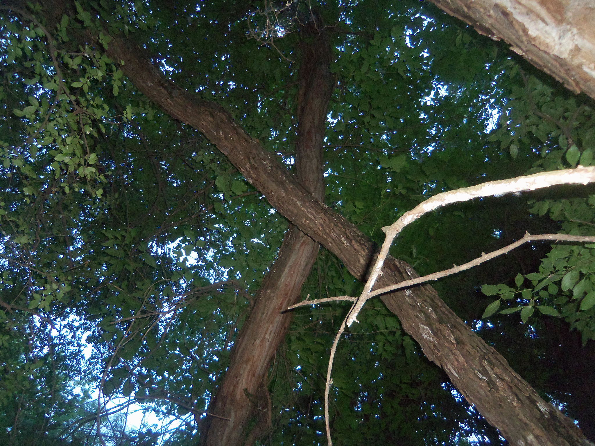 Kodak EASYSHARE TOUCH CAMERA, M577 sample photo