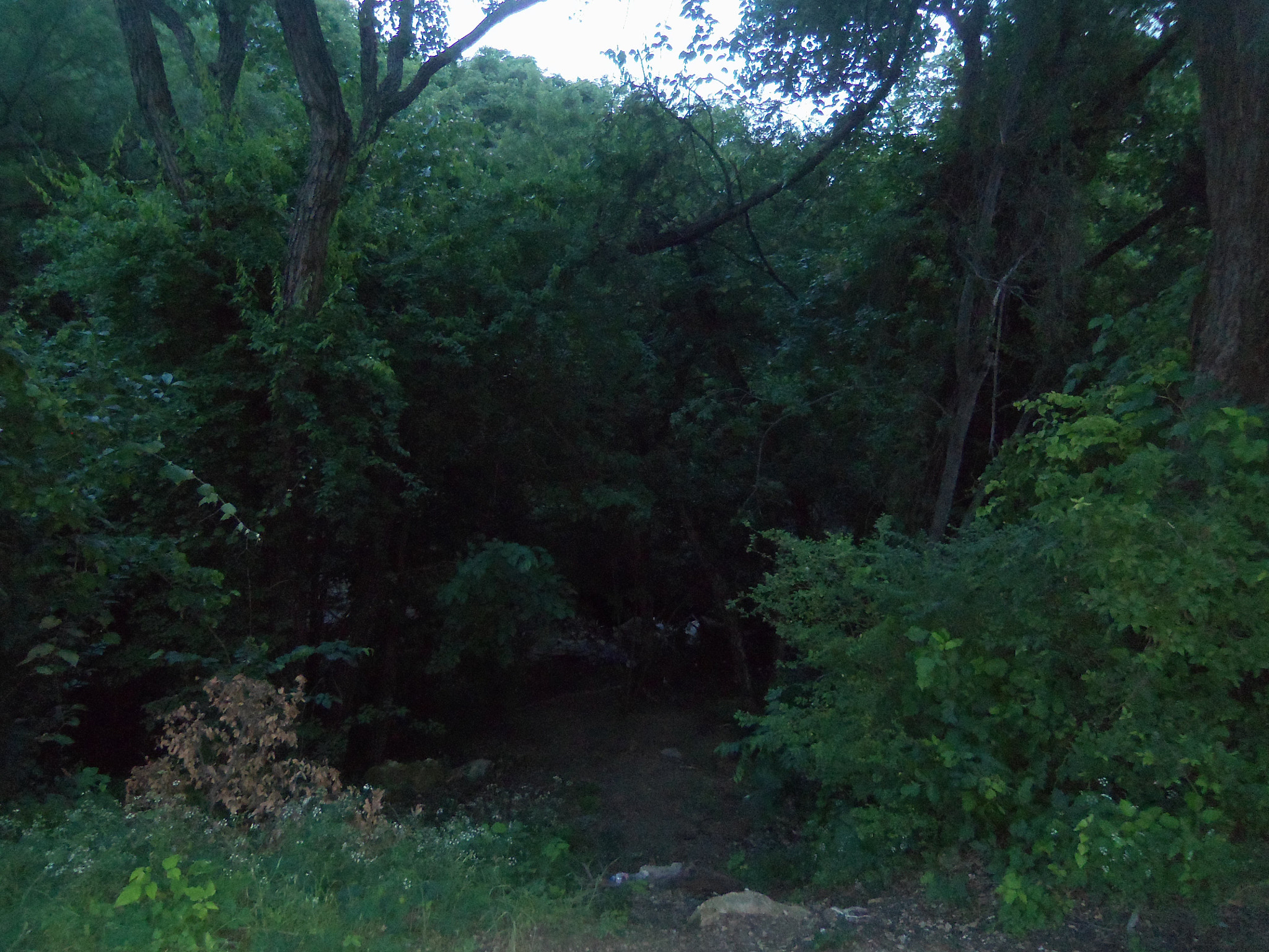 Kodak EASYSHARE TOUCH CAMERA, M577 sample photo