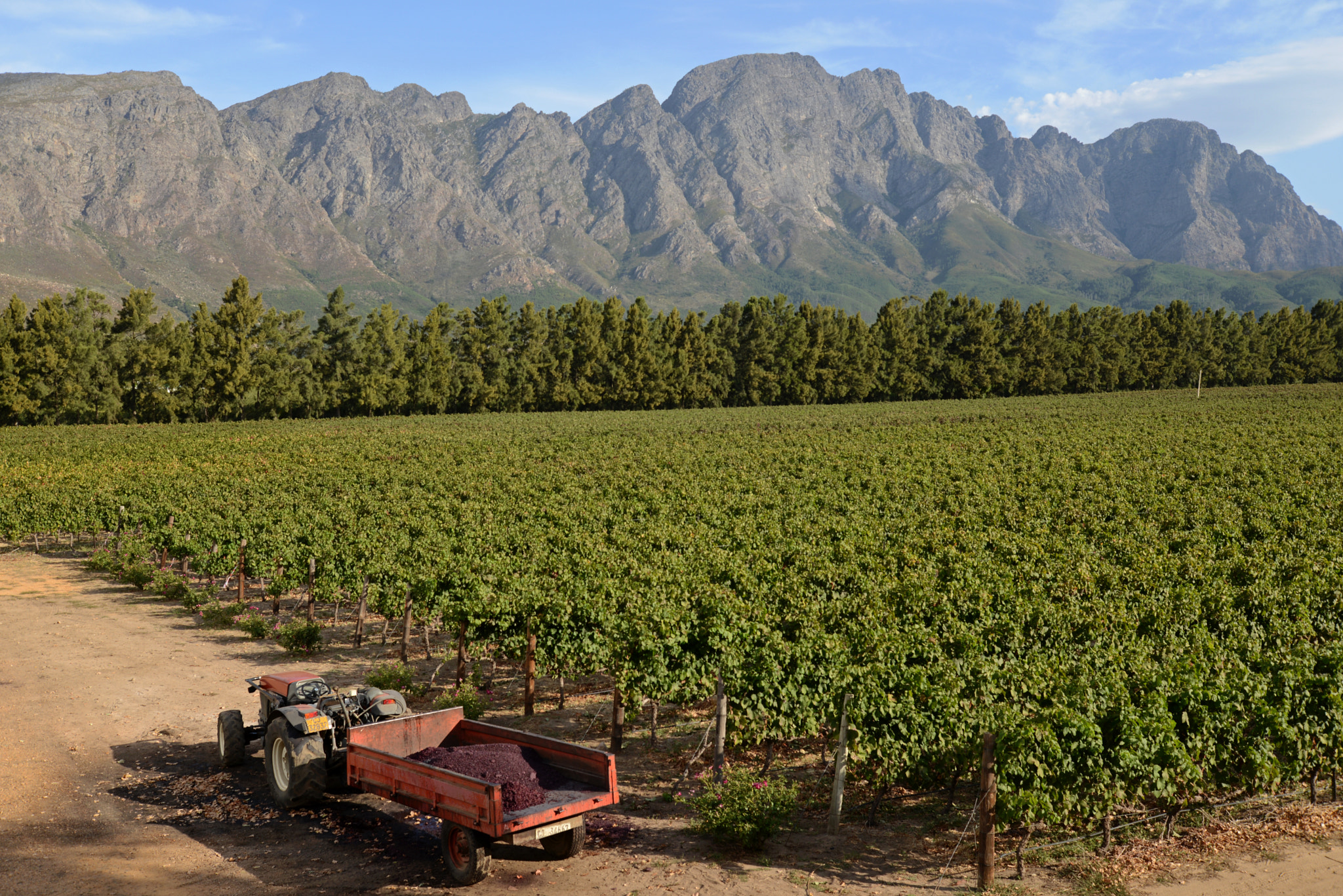 Nikon D600 sample photo. Franschhoek, capetown - south africa photography