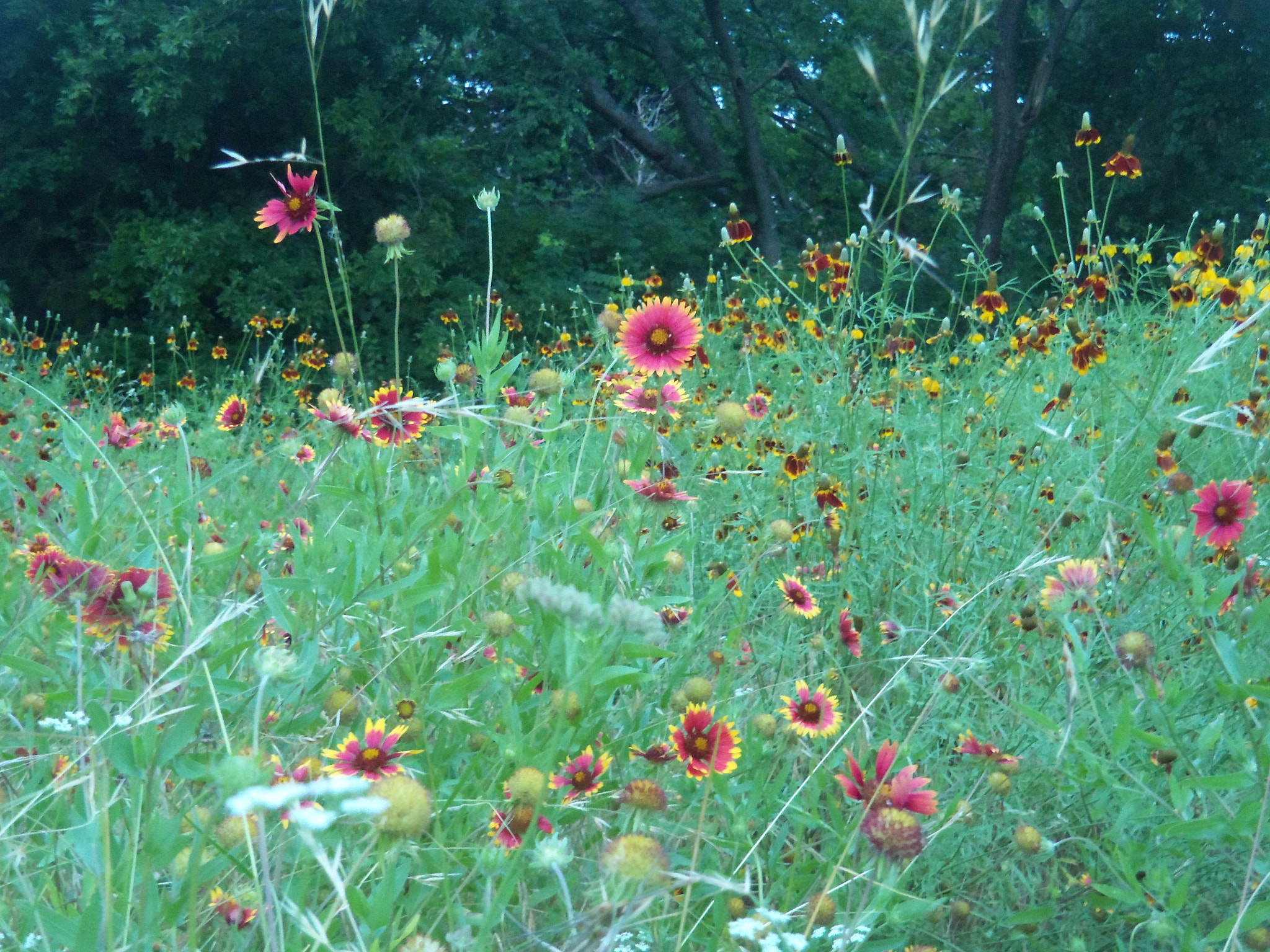 Kodak EASYSHARE TOUCH CAMERA, M577 sample photo