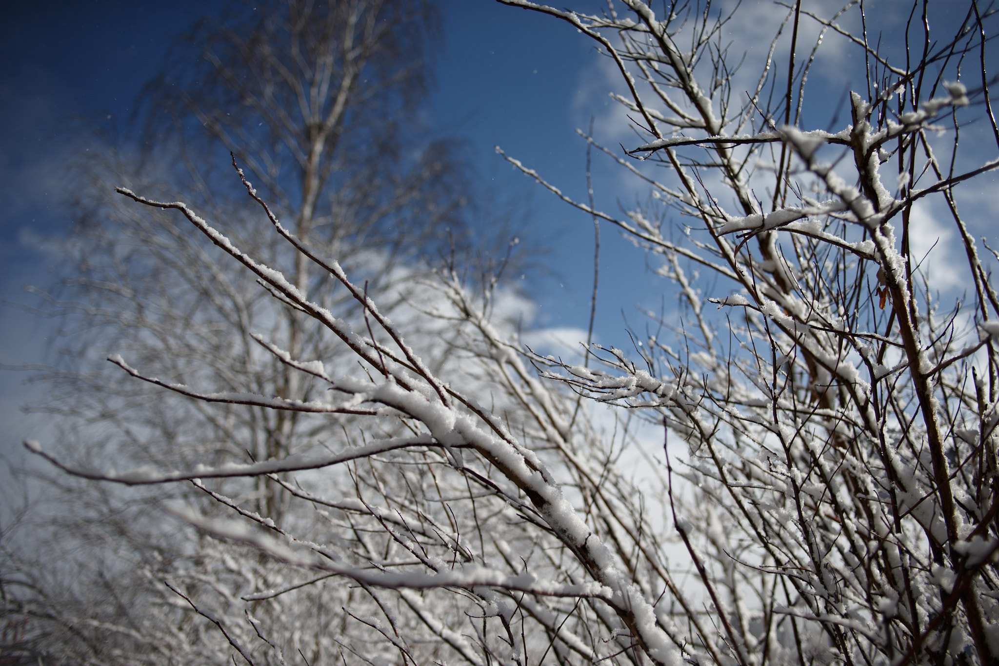 Canon EOS-1D X sample photo. Солнце и Снег 28 марта 2017 photography