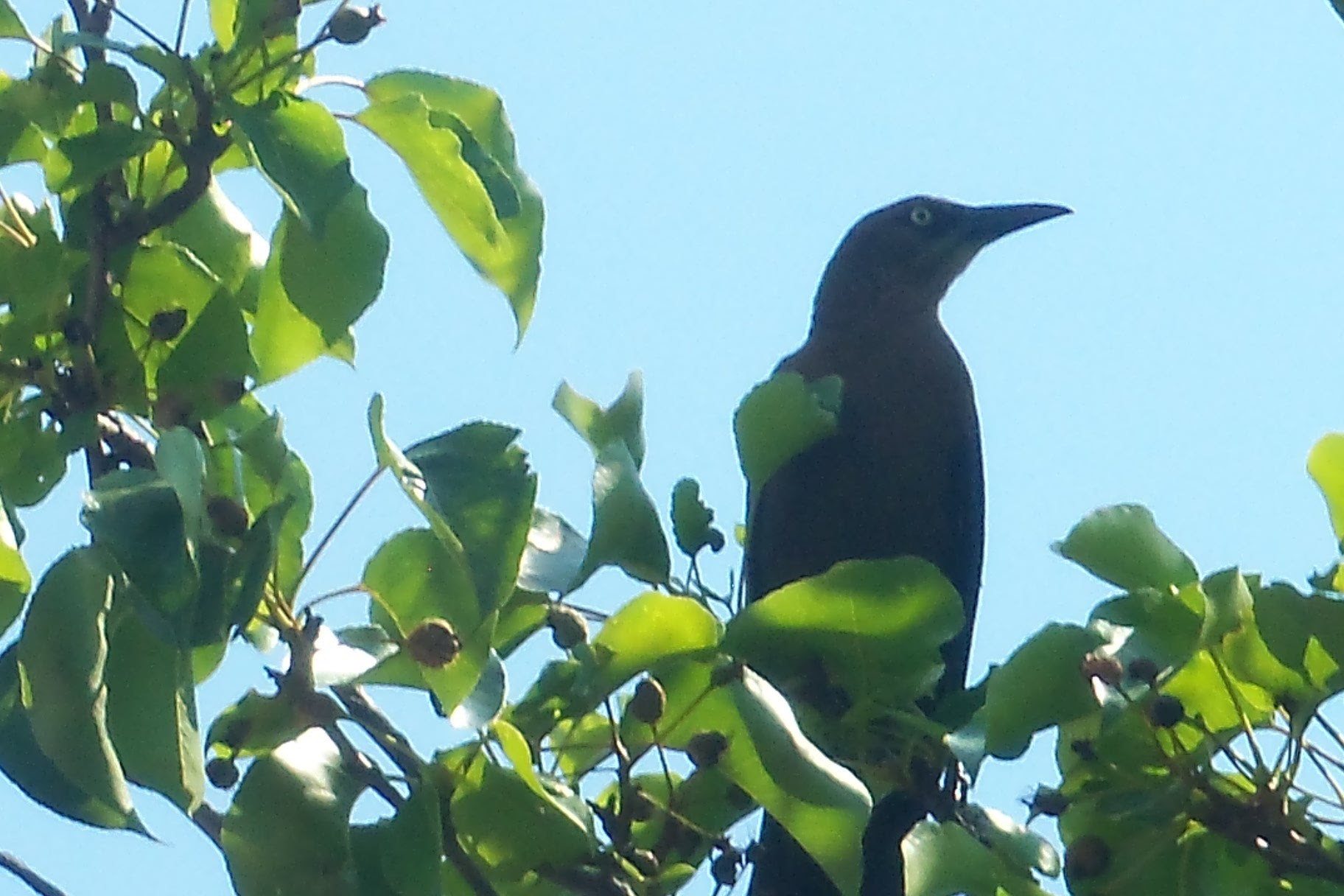 Kodak EASYSHARE TOUCH CAMERA, M577 sample photo
