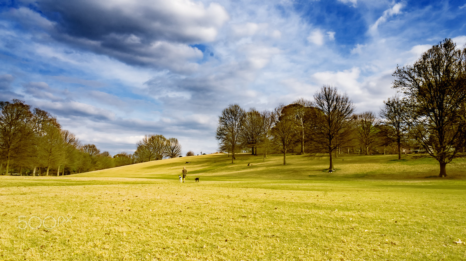 Sony Alpha a3000 + Sony E 16mm F2.8 sample photo. Rolling hill with clouds photography