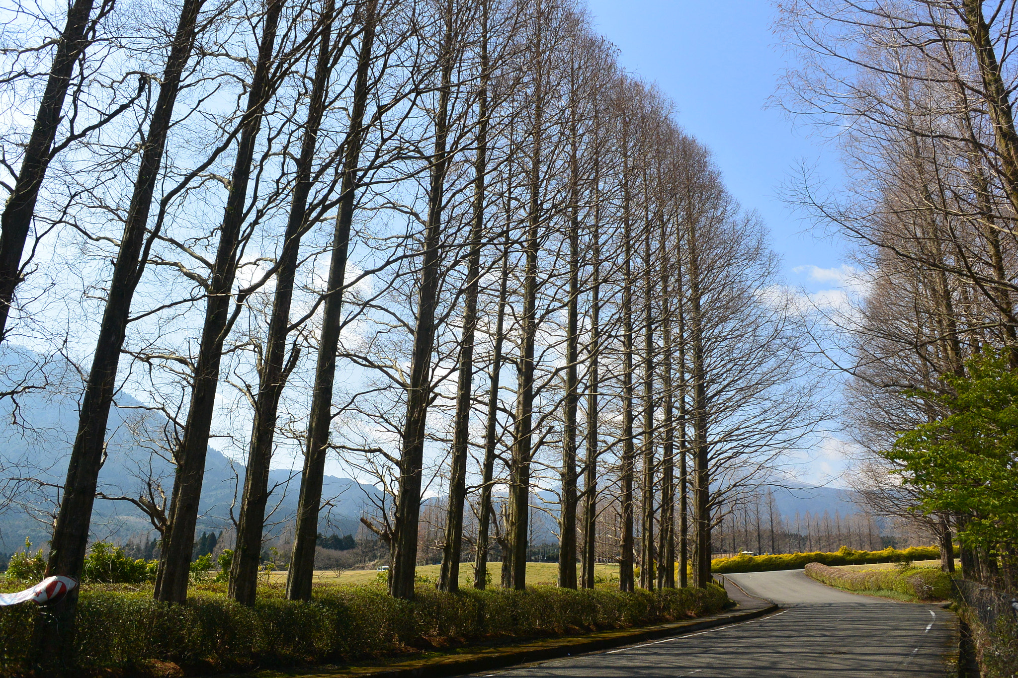 Nikon 1 V2 sample photo. Ikomakogen photography