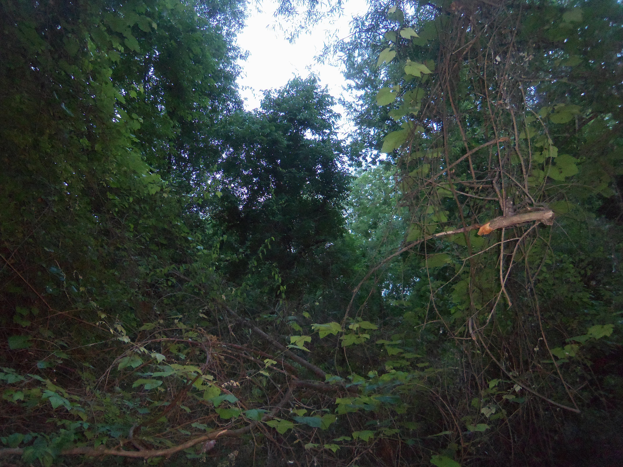 Kodak EASYSHARE TOUCH CAMERA, M577 sample photo