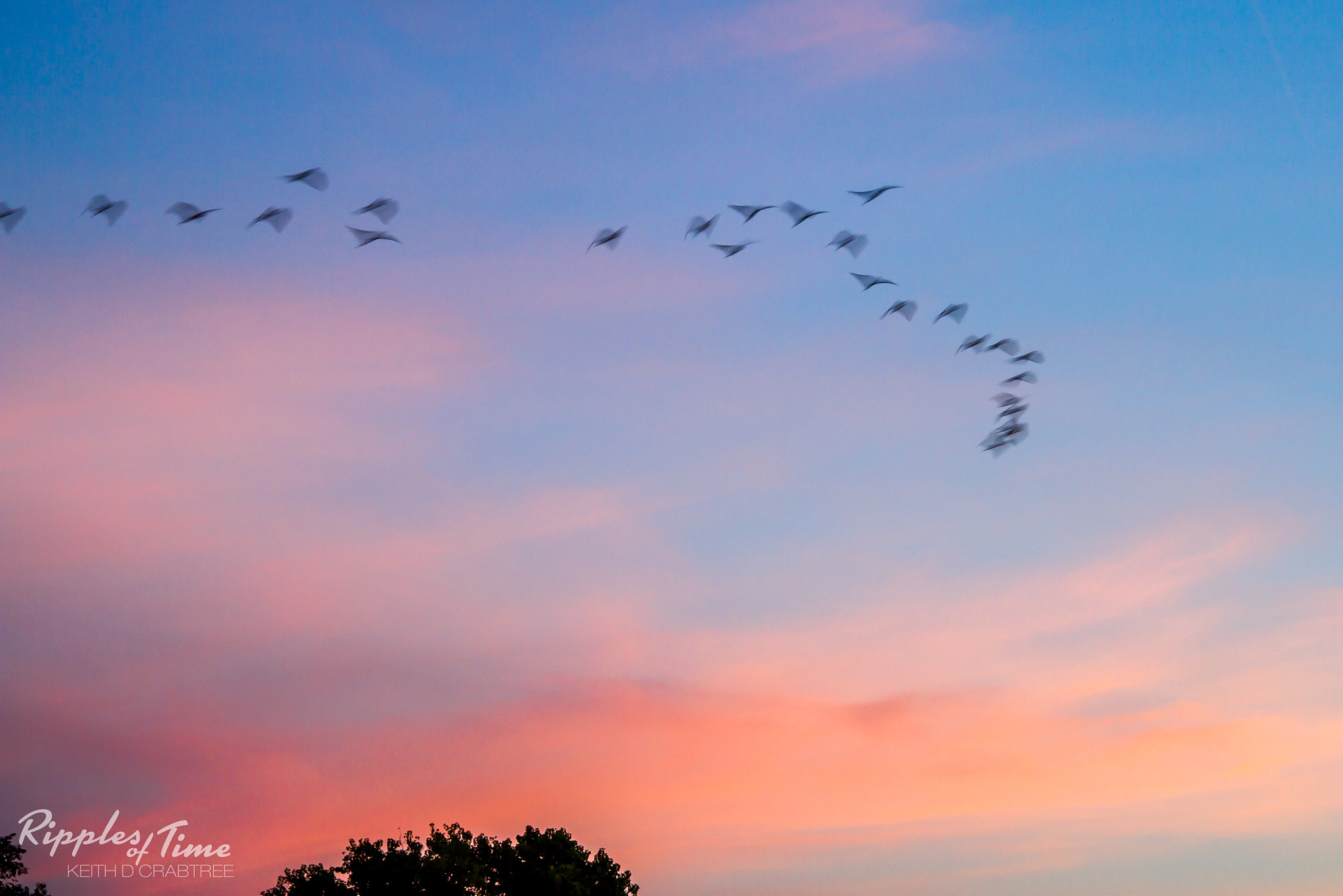 Canon EF-S 17-85mm F4-5.6 IS USM sample photo. Morning flight photography