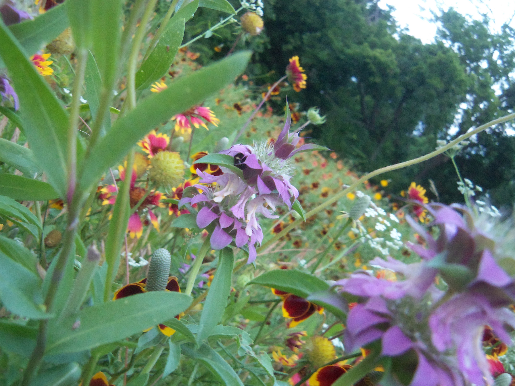 Kodak EASYSHARE TOUCH CAMERA, M577 sample photo