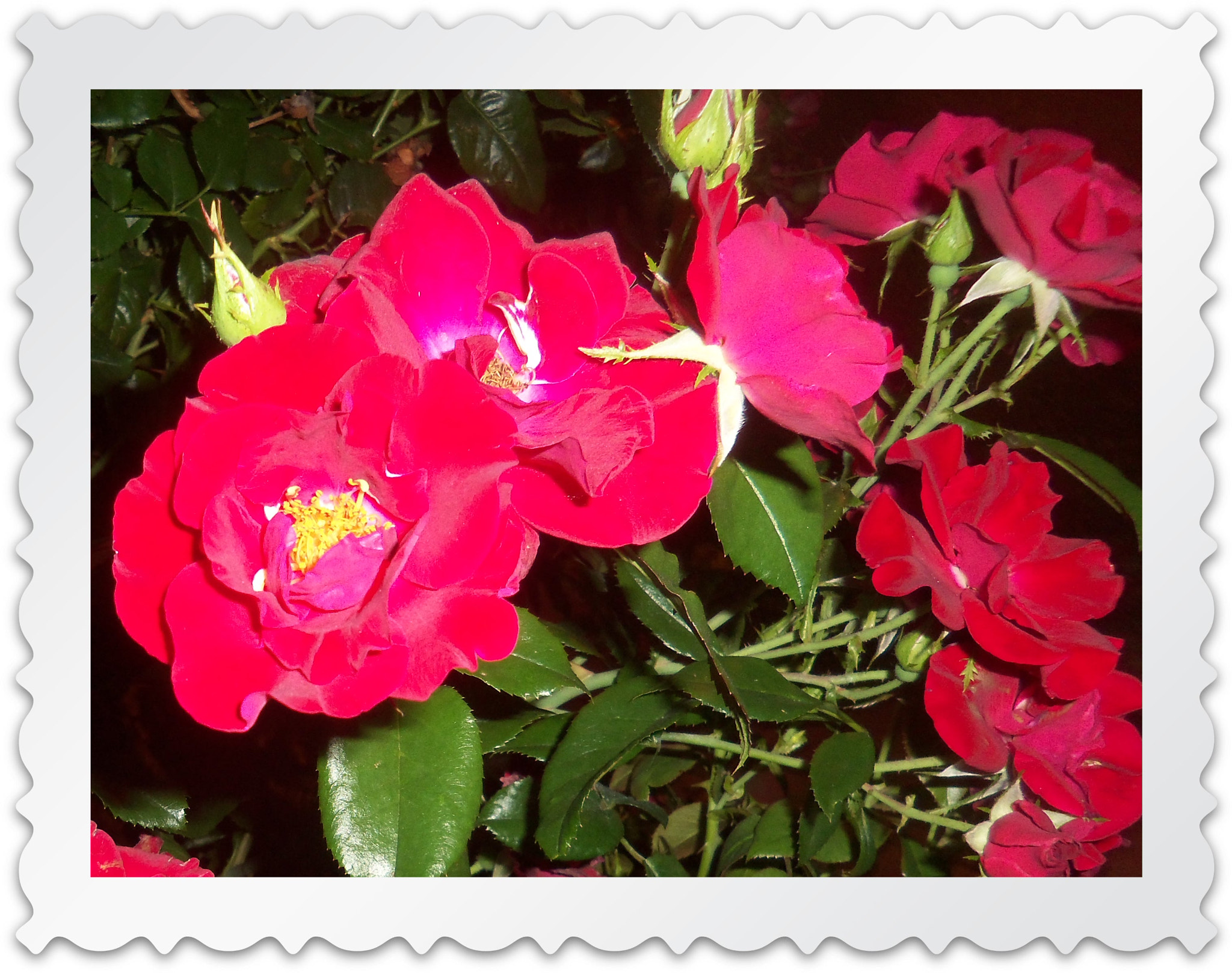 Kodak EASYSHARE TOUCH CAMERA, M577 sample photo
