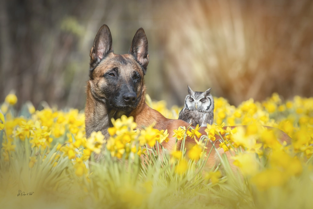 Dreams by Tanja Brandt on 500px.com