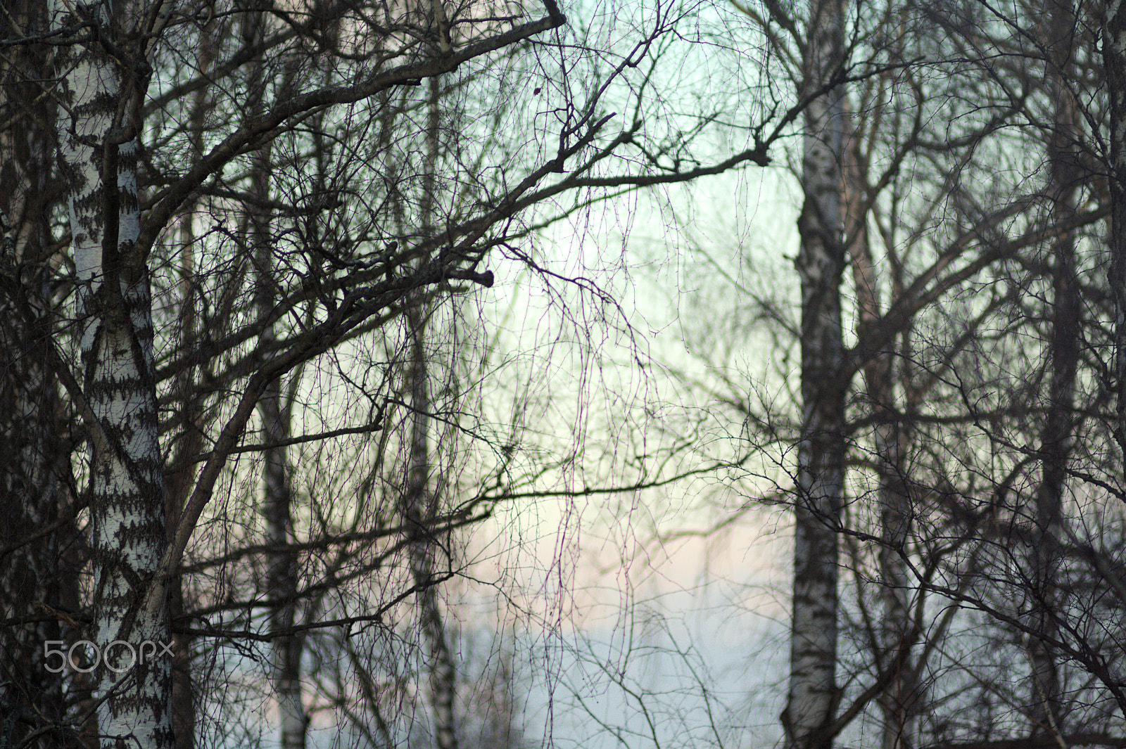 Canon EF 35-80mm f/4-5.6 sample photo. Spring sunset photography
