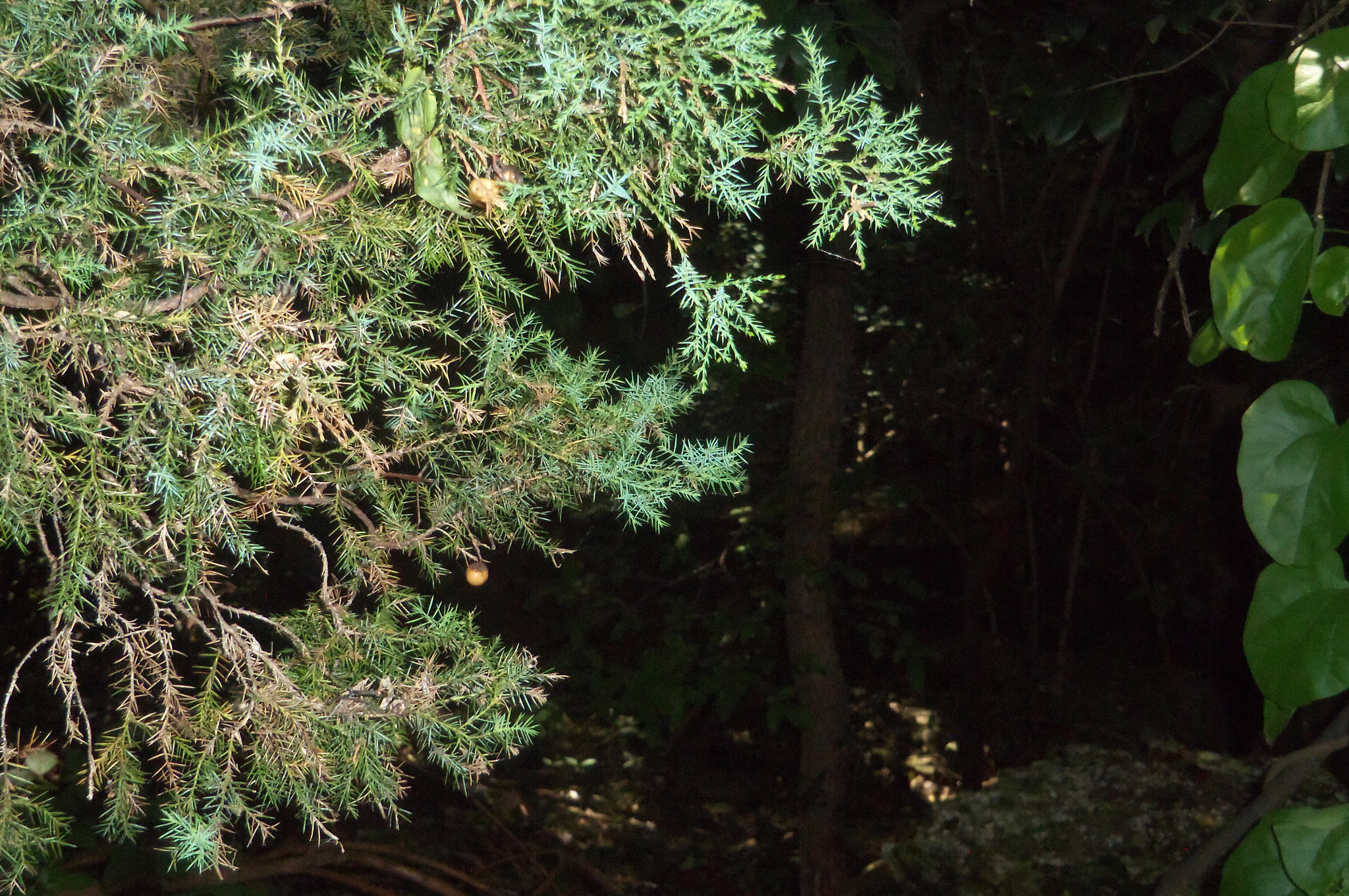 Kodak EASYSHARE TOUCH CAMERA, M577 sample photo