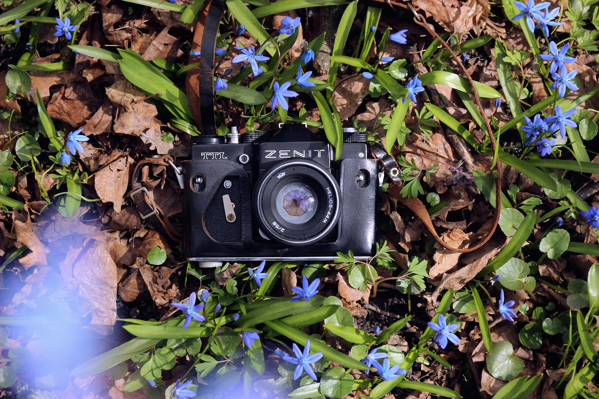Canon EF 35-80mm f/4-5.6 sample photo. Img photography
