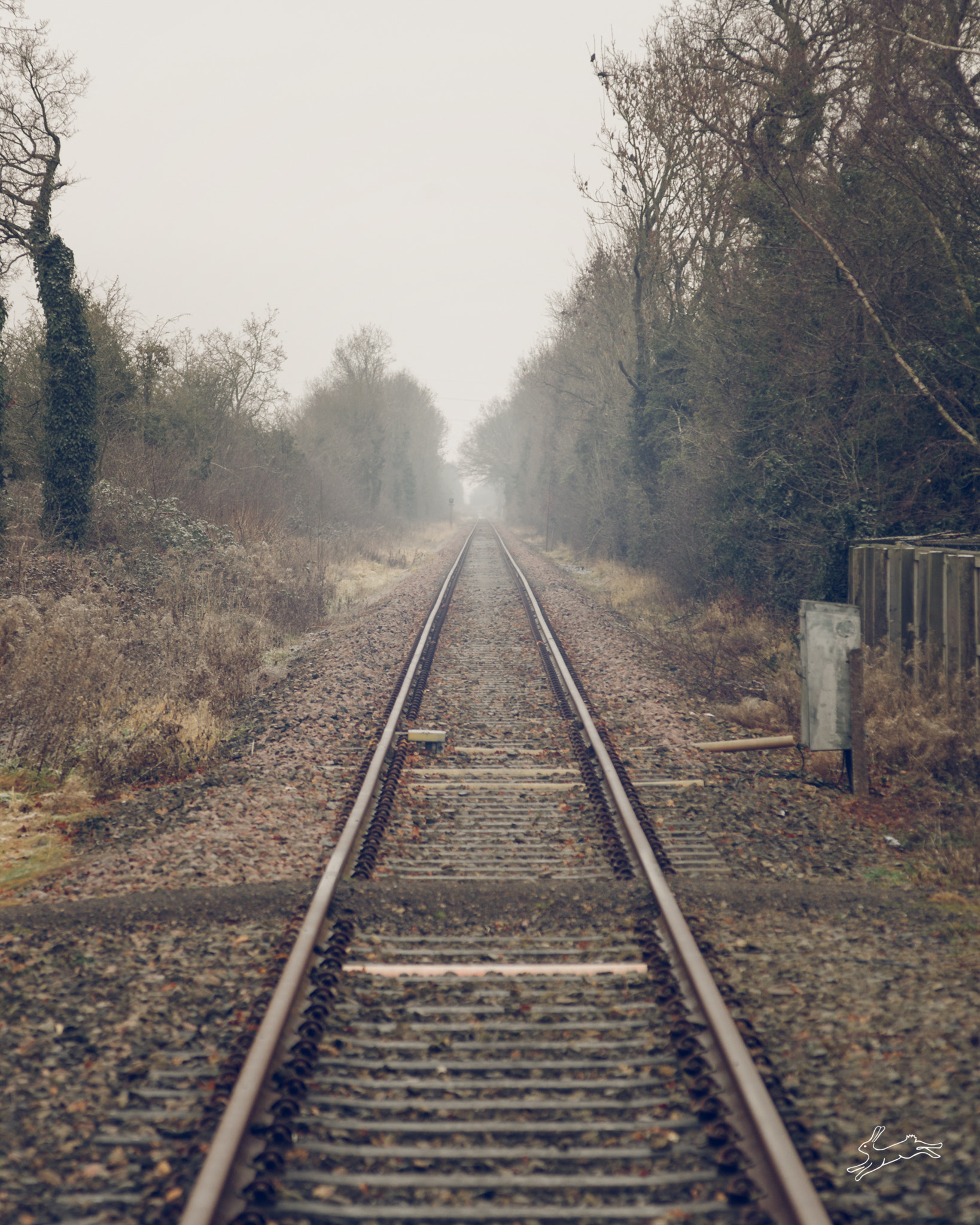 Canon EOS-1D Mark III sample photo. 11-4618.jpg-foggy tracks photography