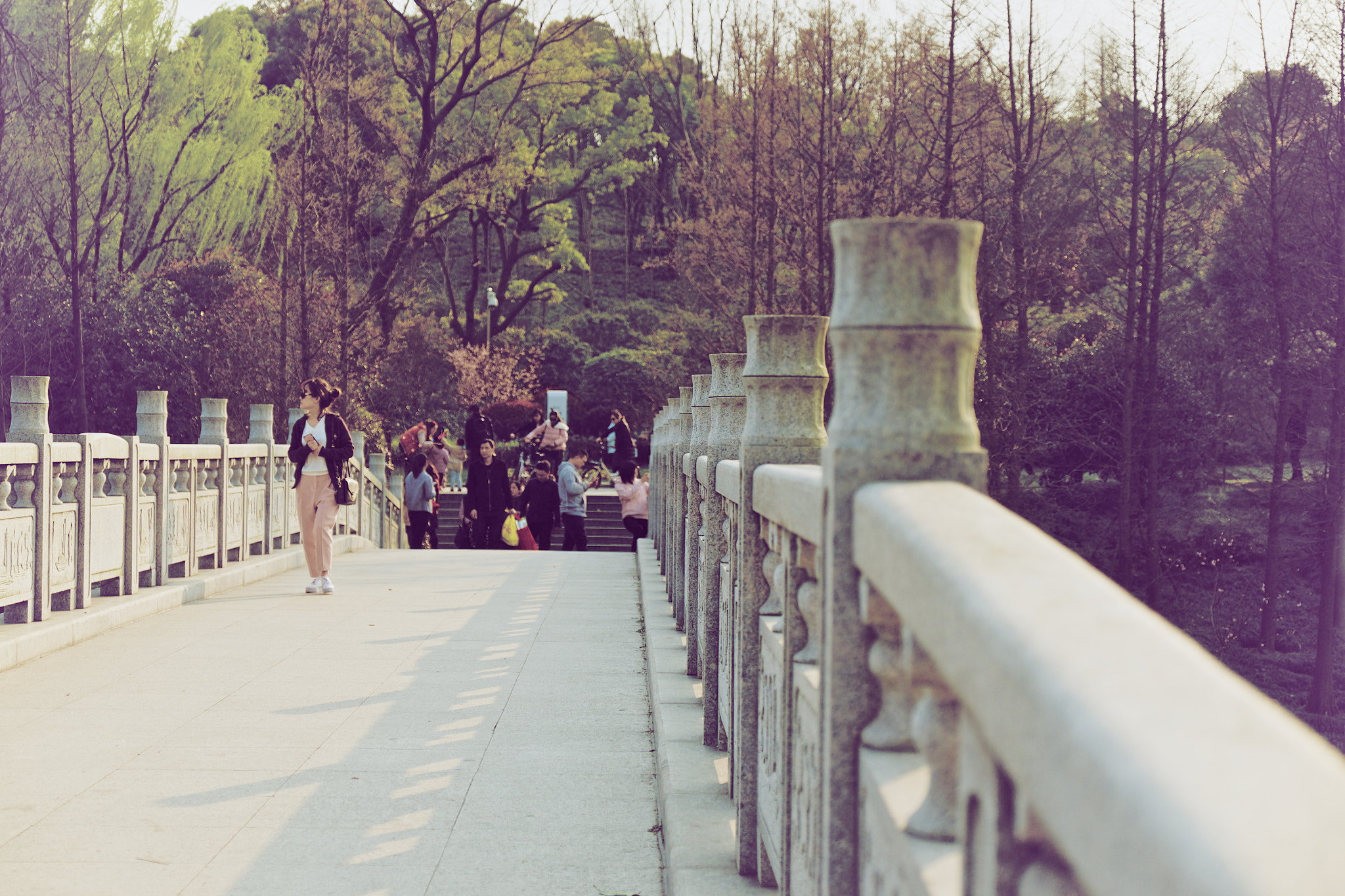 Fujifilm X-T1 + Fujifilm XF 16-55mm F2.8 R LM WR sample photo. 桥与远望的人 photography