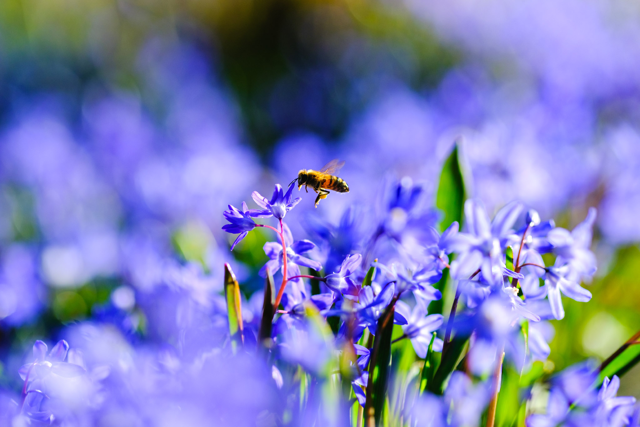 Fujifilm XF 90mm F2 R LM WR sample photo. New time photography