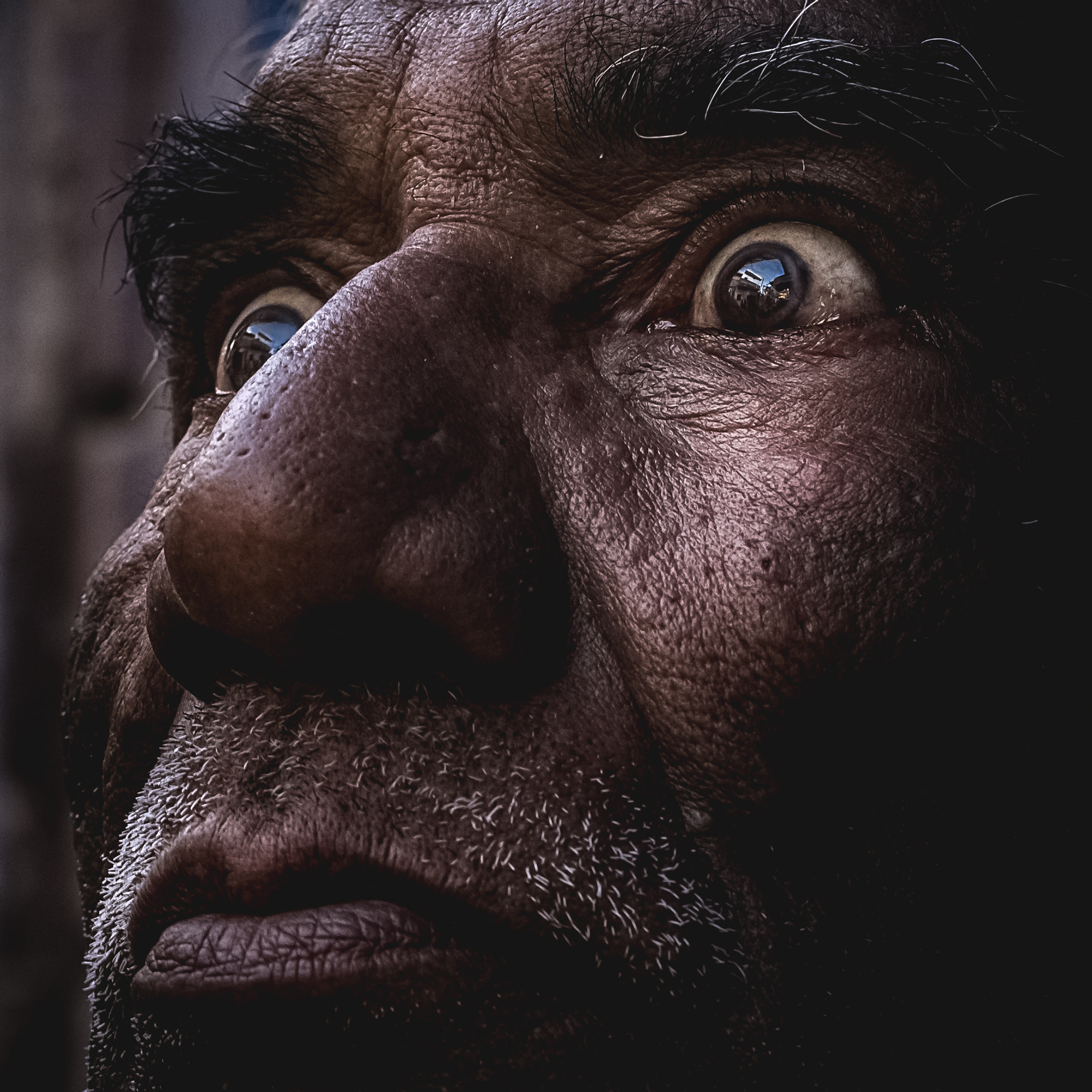 Nikon D810 + Nikon AF-S Nikkor 50mm F1.8G sample photo. Perception photography