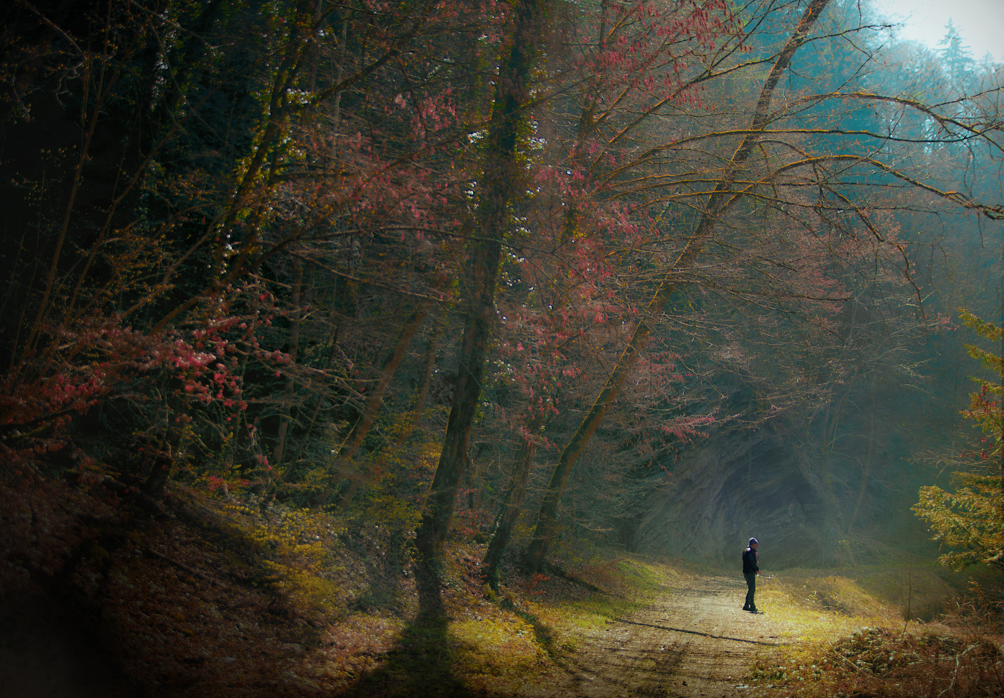 Canon EOS 50D + Sigma 17-70mm F2.8-4 DC Macro OS HSM | C sample photo. Autumn photography