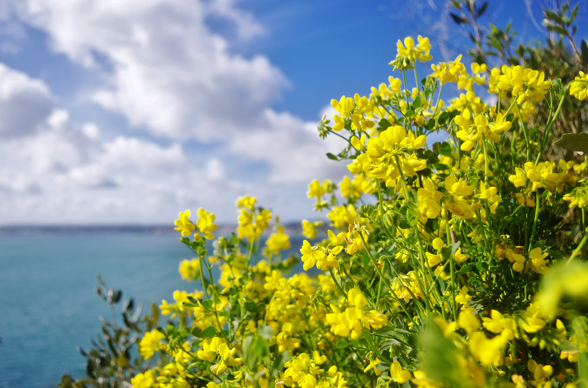 smc PENTAX-DA L 18-55mm F3.5-5.6 sample photo. Spring colour photography