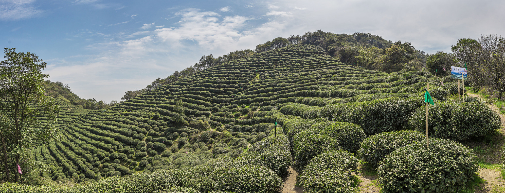 Sigma 18-35mm f/1.8 DC HSM sample photo. 梅家坞 photography