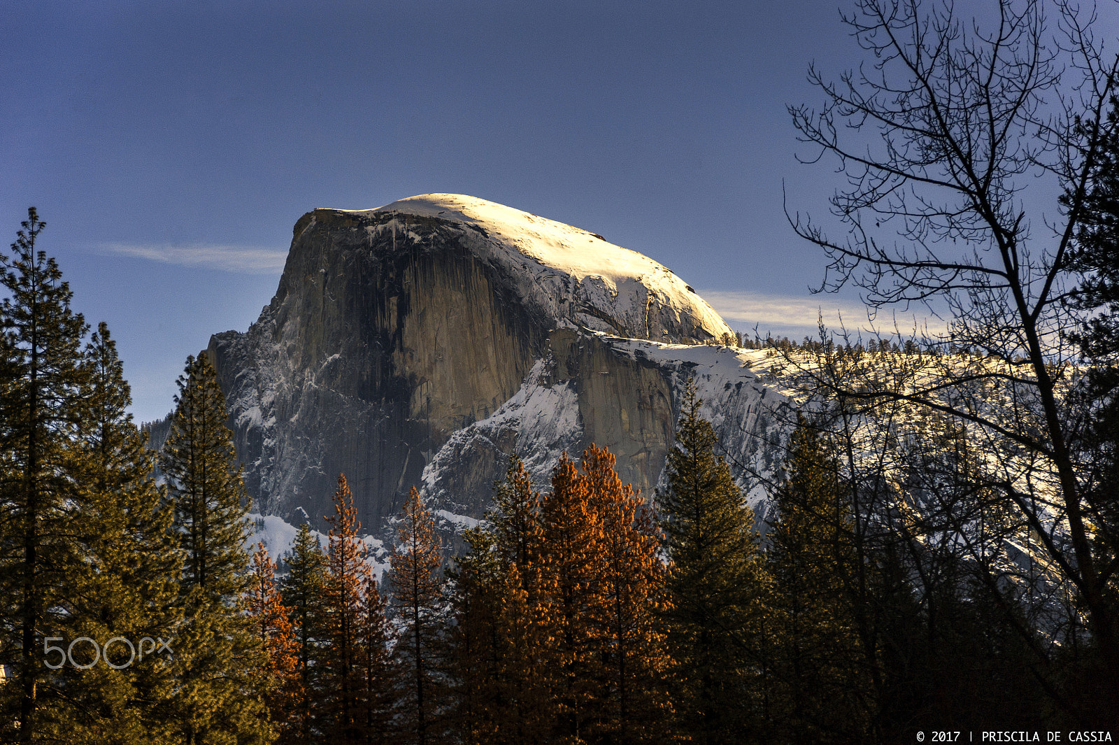 Nikon D700 sample photo. Sunset at half dome photography