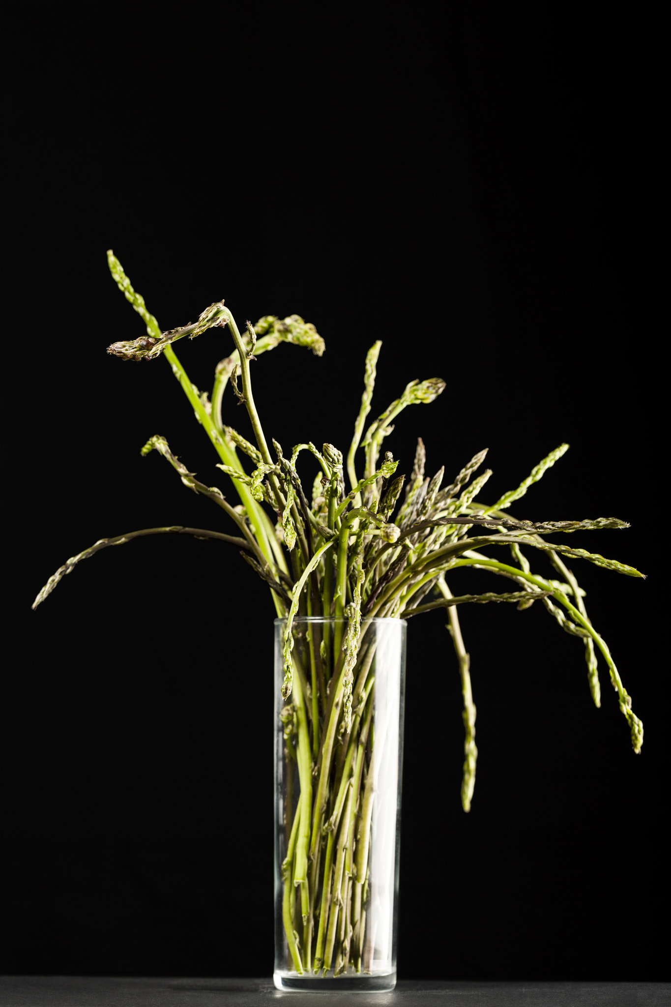 Canon EF 100mm F2.8L Macro IS USM sample photo. Espàrrecs silvestres photography