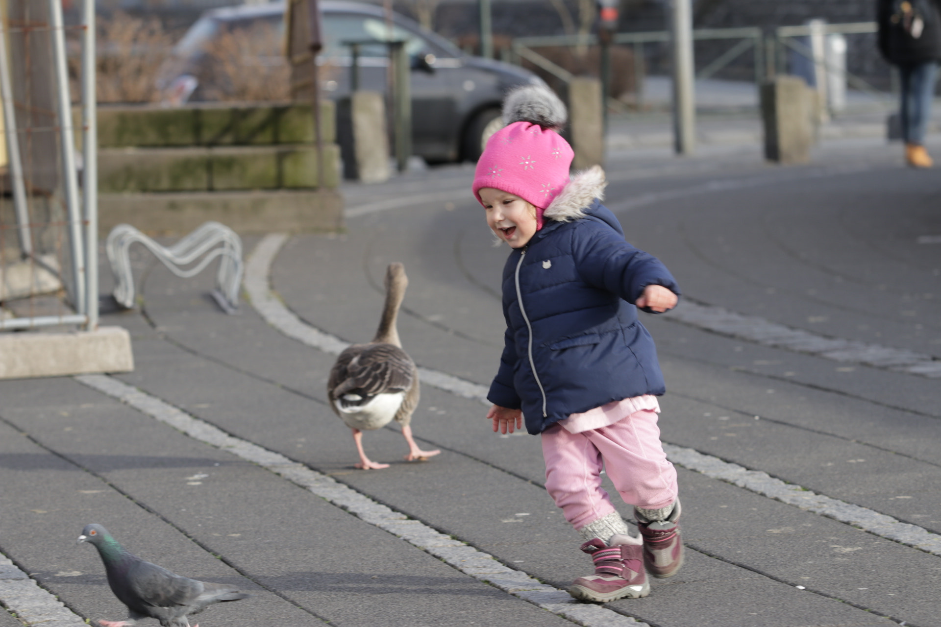 Canon EF 70-200mm F2.8L USM sample photo. Gaman, gaman,,, photography