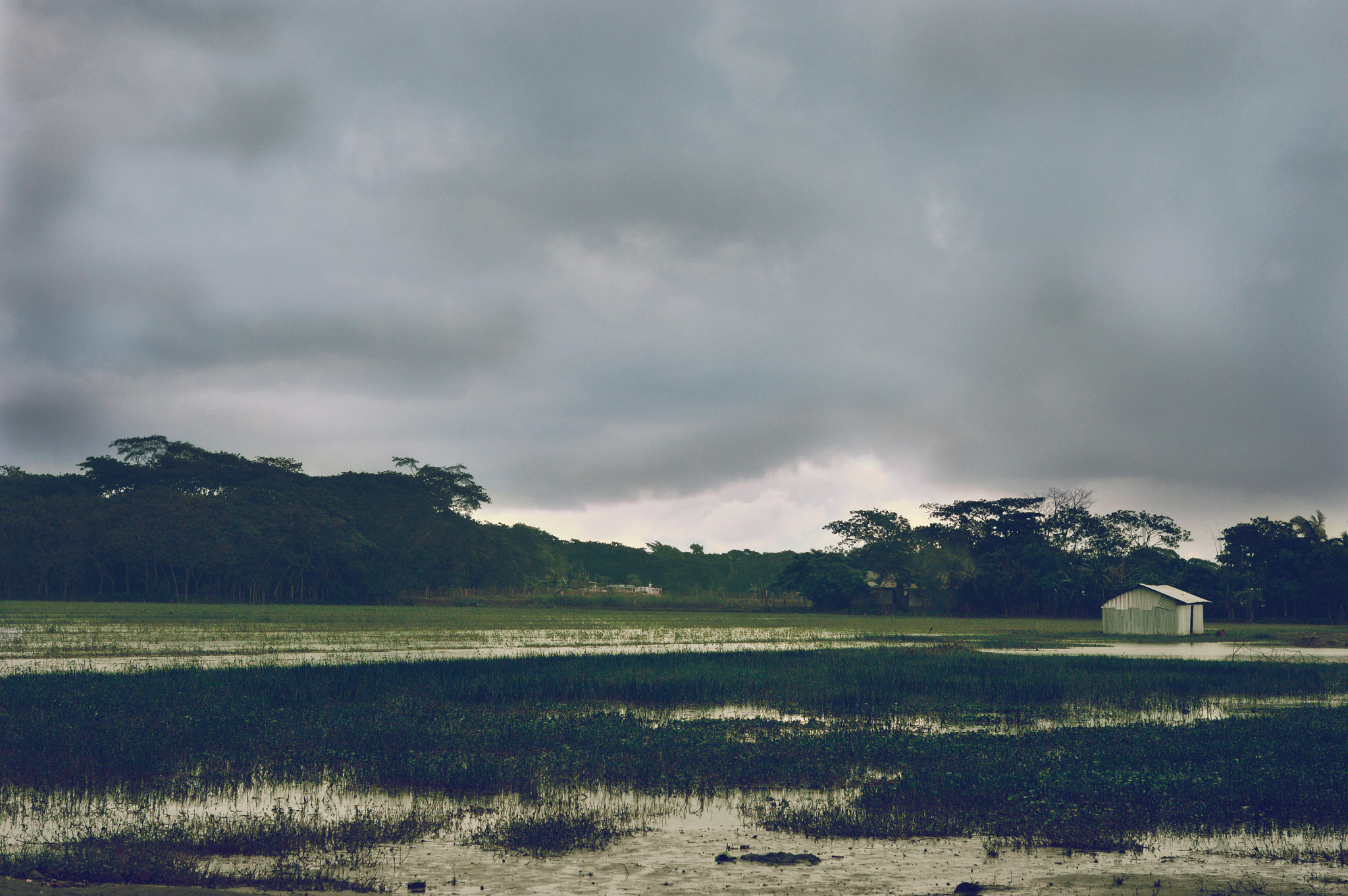 Nikon D3200 + Nikon AF Nikkor 50mm F1.8D sample photo. Bhola, bangladesh photography