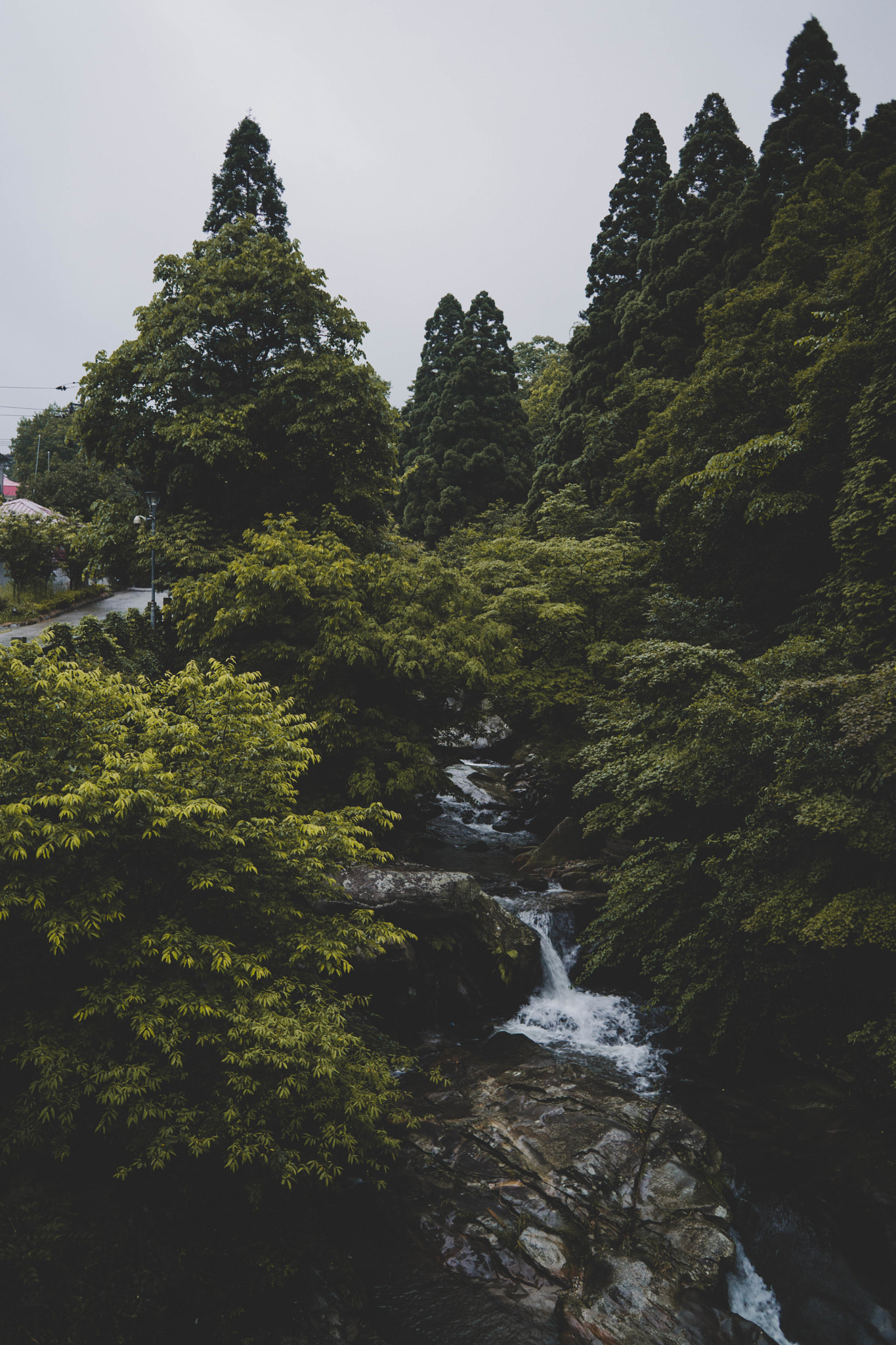 Sony 28mm F2.8 sample photo. Dsc photography