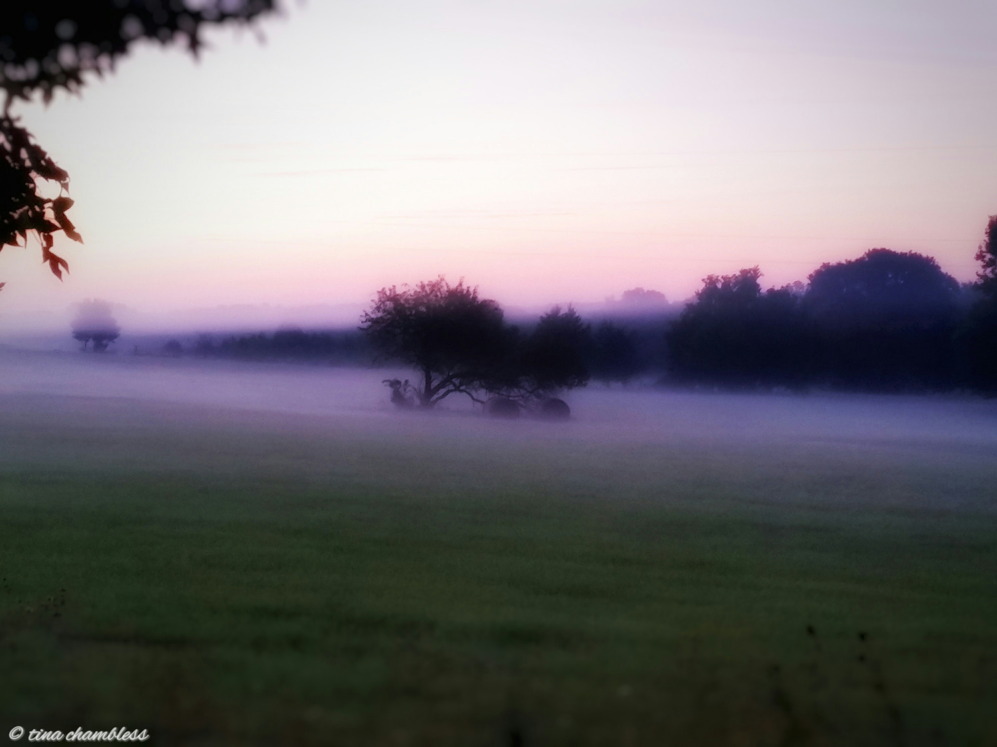 Samsung Galaxy S5 Active sample photo. Morning mist photography