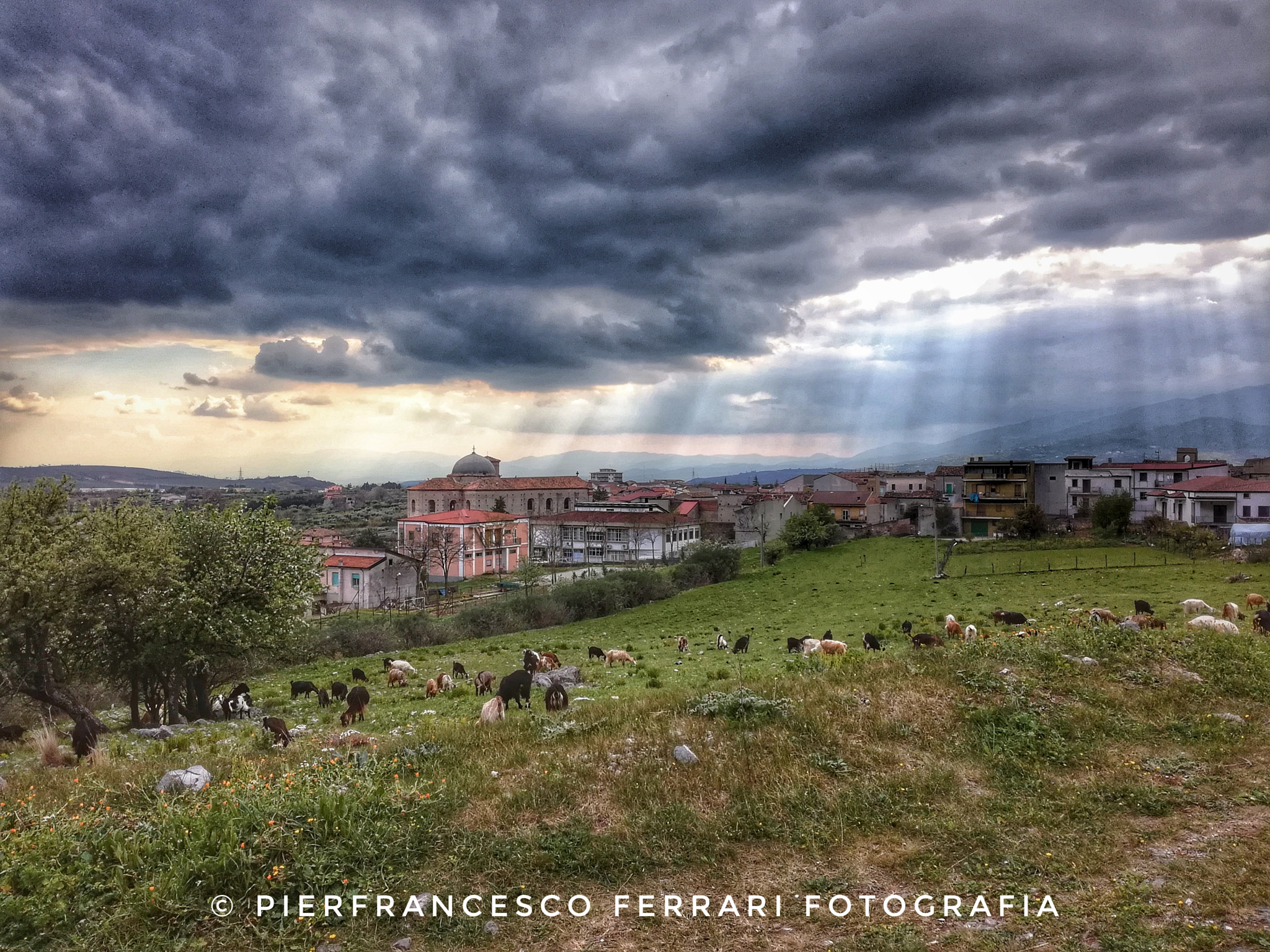 HUAWEI Honor 5C sample photo. Adesso da #frascineto
buon pomeriggio! photography