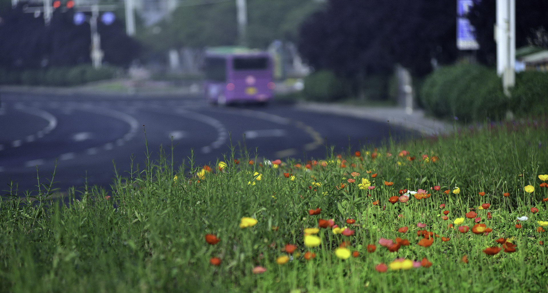 Nikon AF-Nikkor 80-200mm F2.8D ED sample photo. 城市之晨 photography
