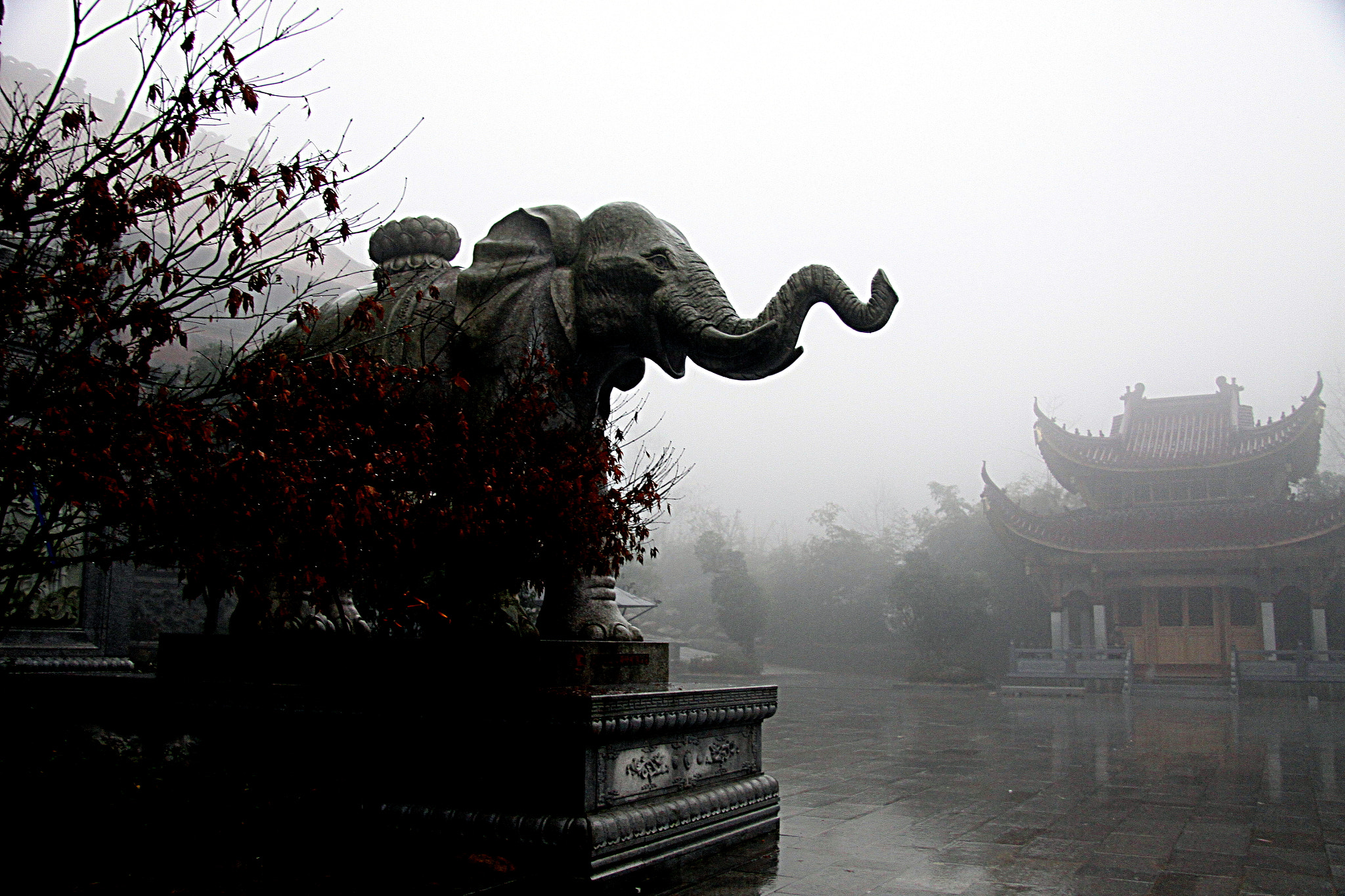 Canon EOS 50D sample photo. Safari on a foggy day in china photography