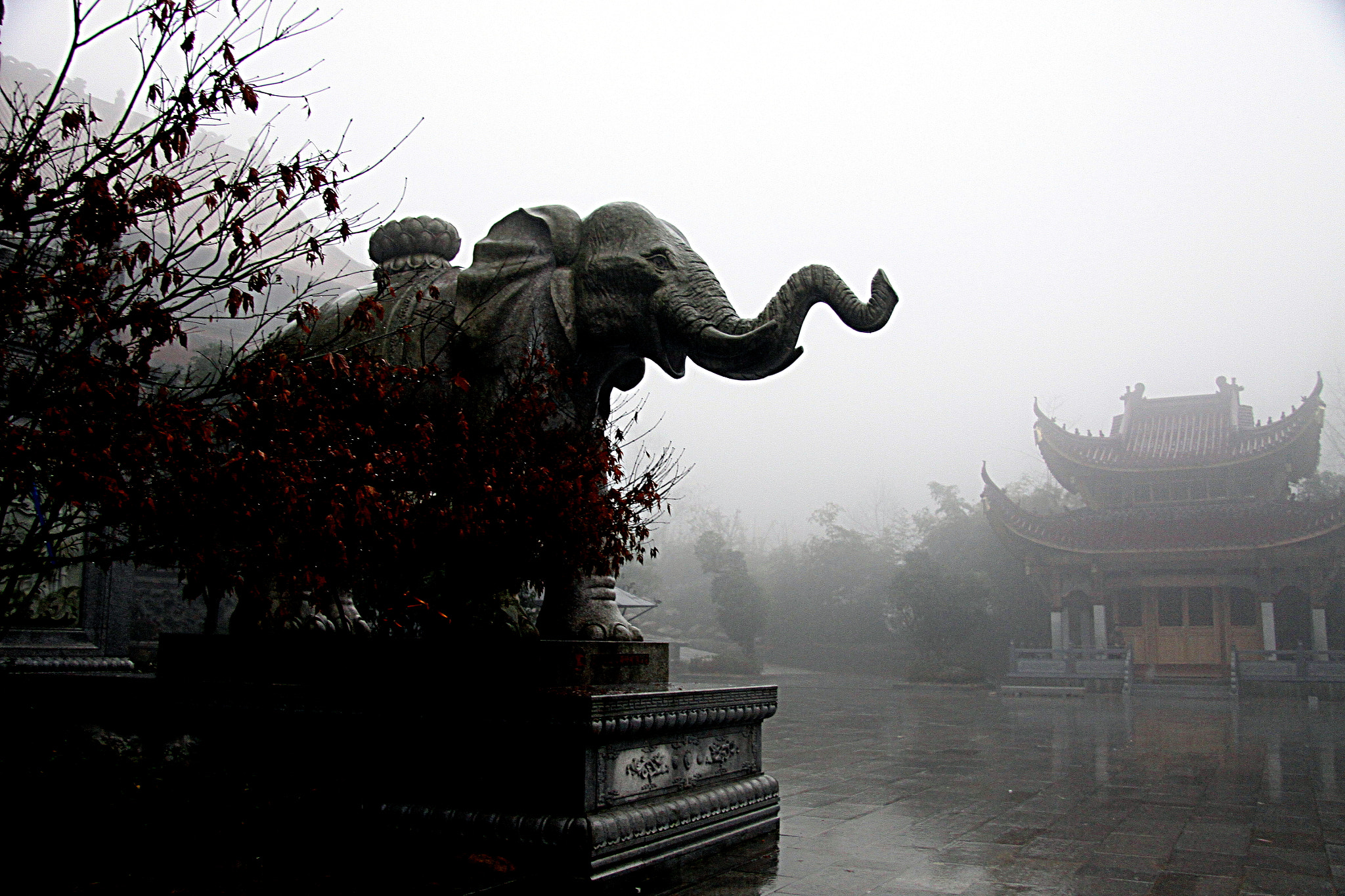 Canon EF-S 17-85mm F4-5.6 IS USM sample photo. Safari on a foggy day in china photography