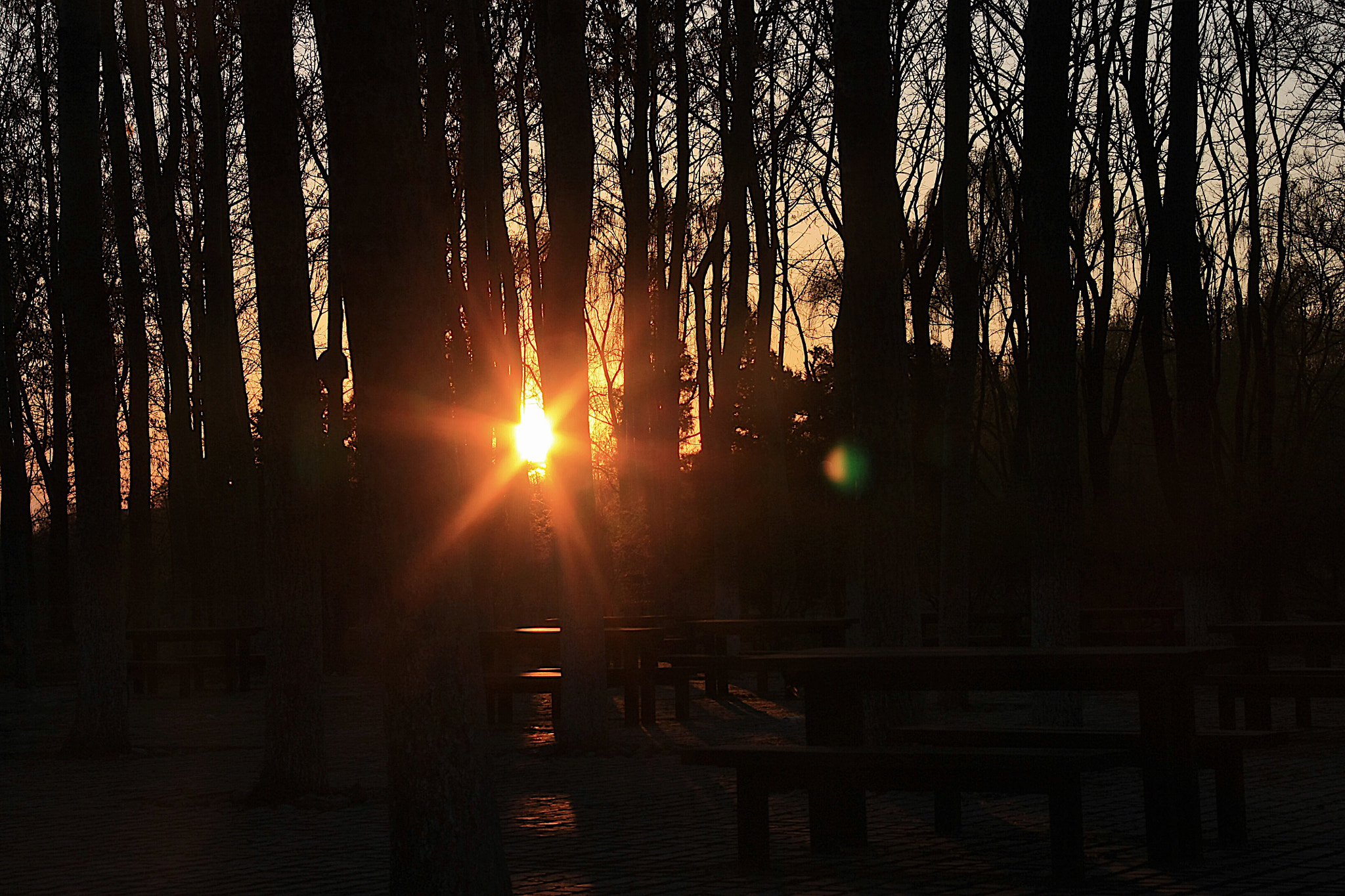 Canon EF-S 18-200mm F3.5-5.6 IS sample photo