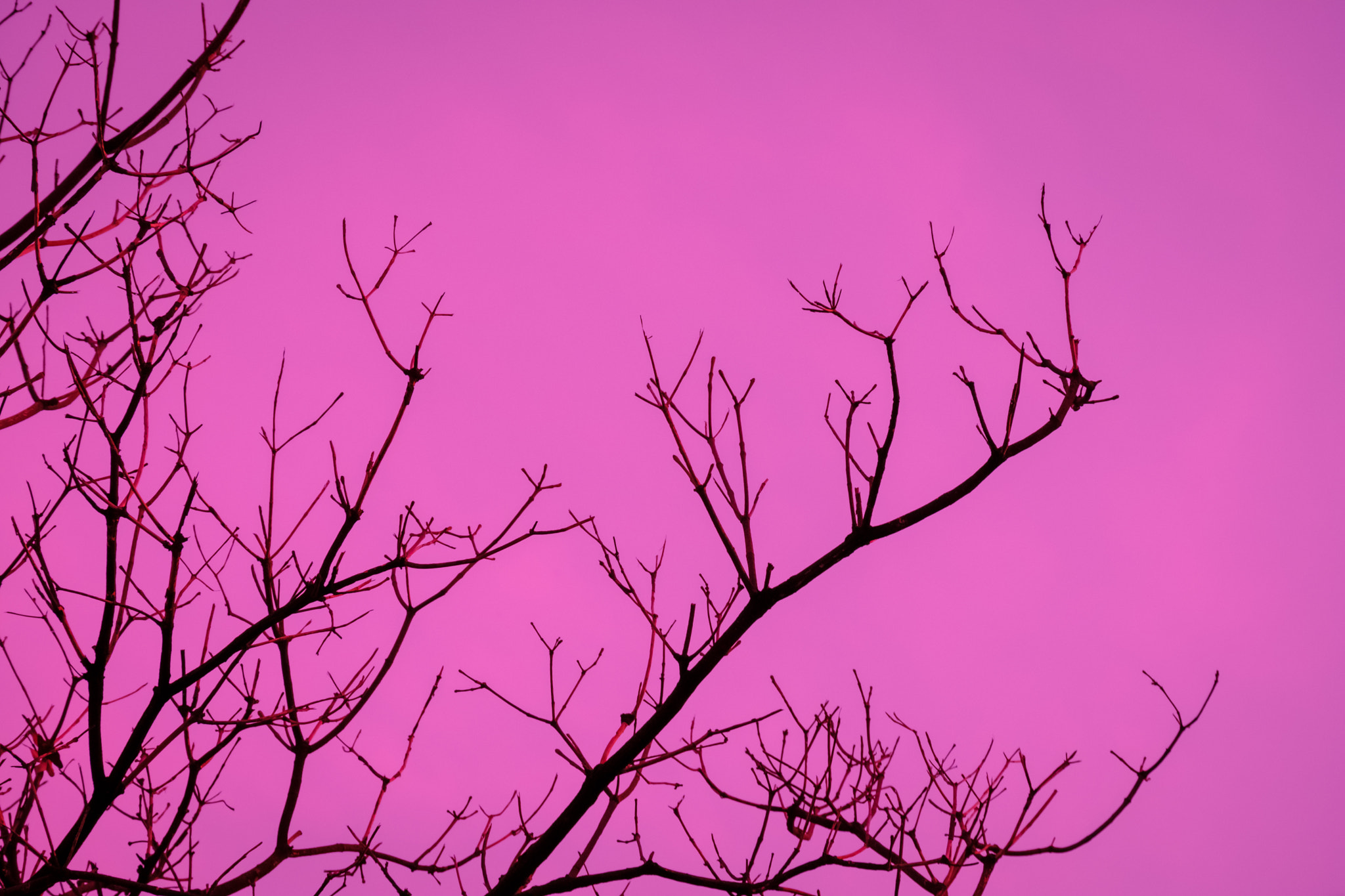 Fujifilm X-T20 sample photo. Evening scene with sun go down, sky in brilliant orange, silhoue photography